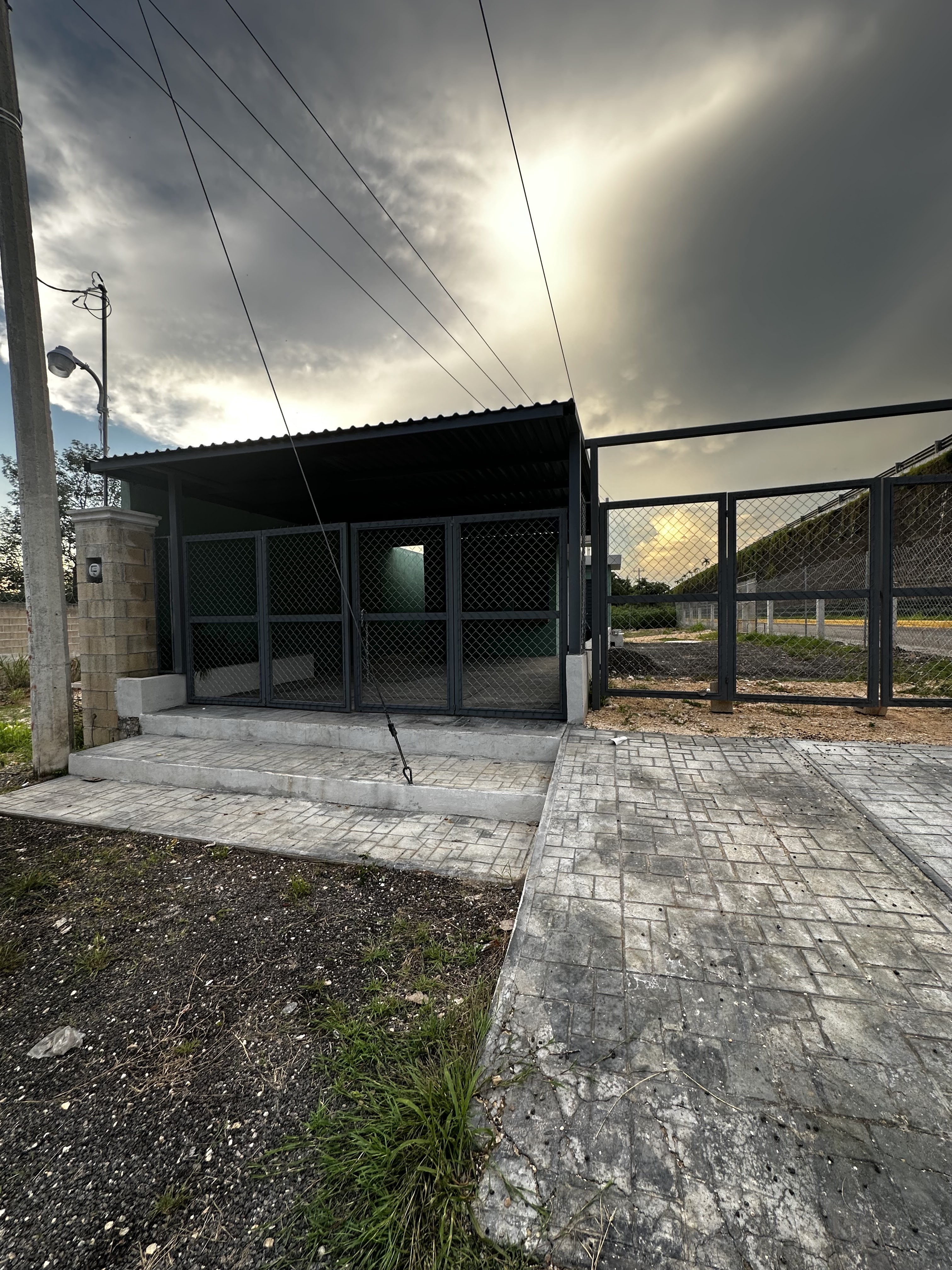 Olivo terraza image 4