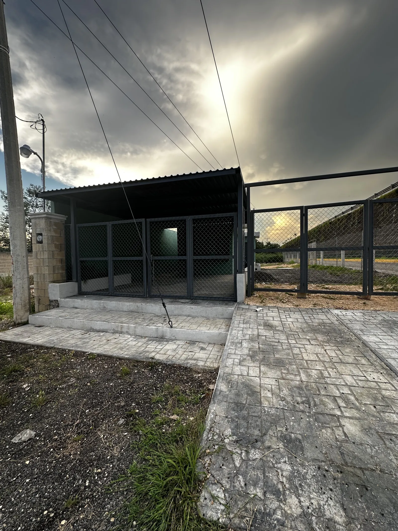Olivo terraza image 4