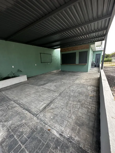 Olivo terraza image 7
