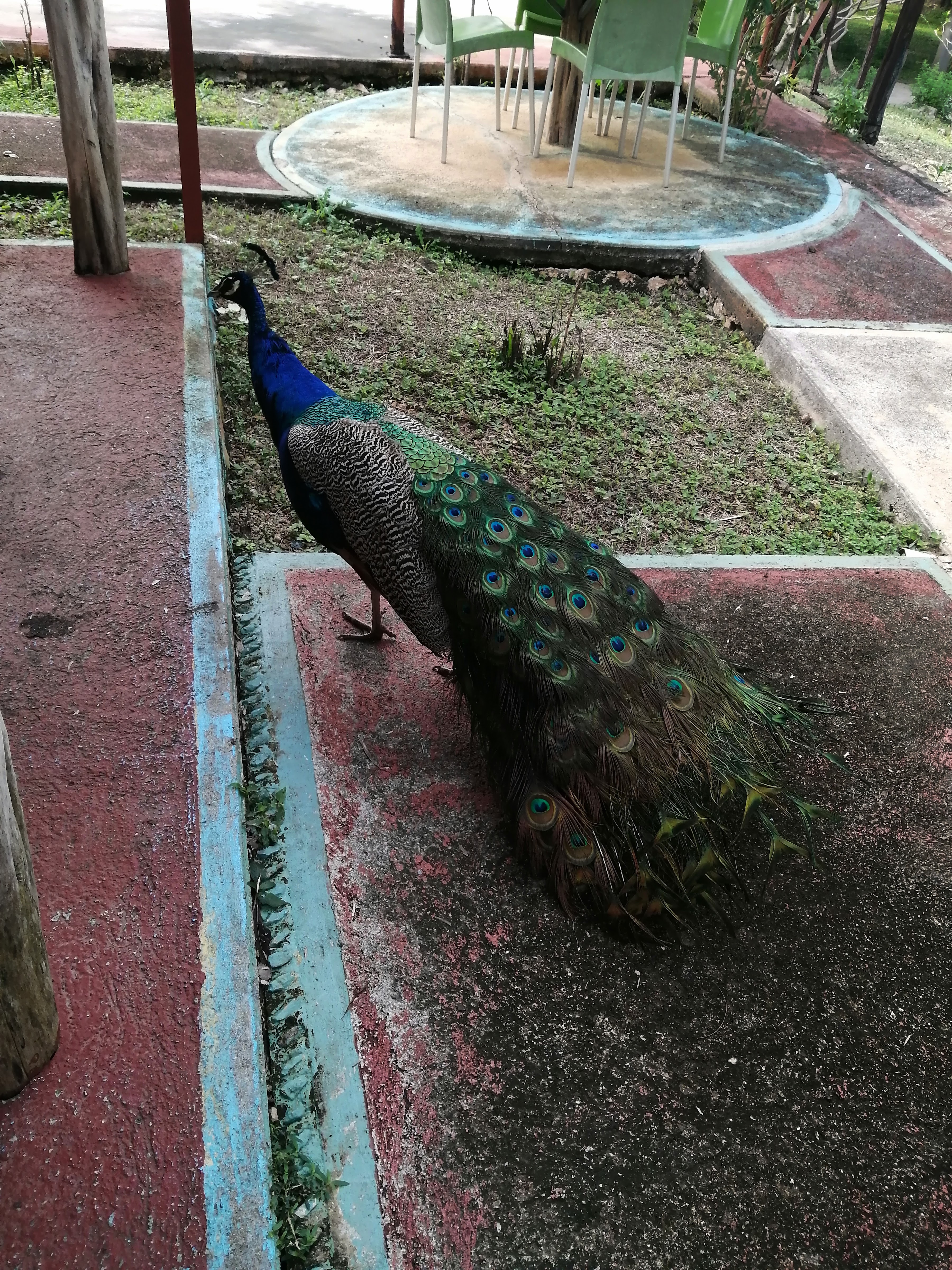 Restaurante La Tasca image 3