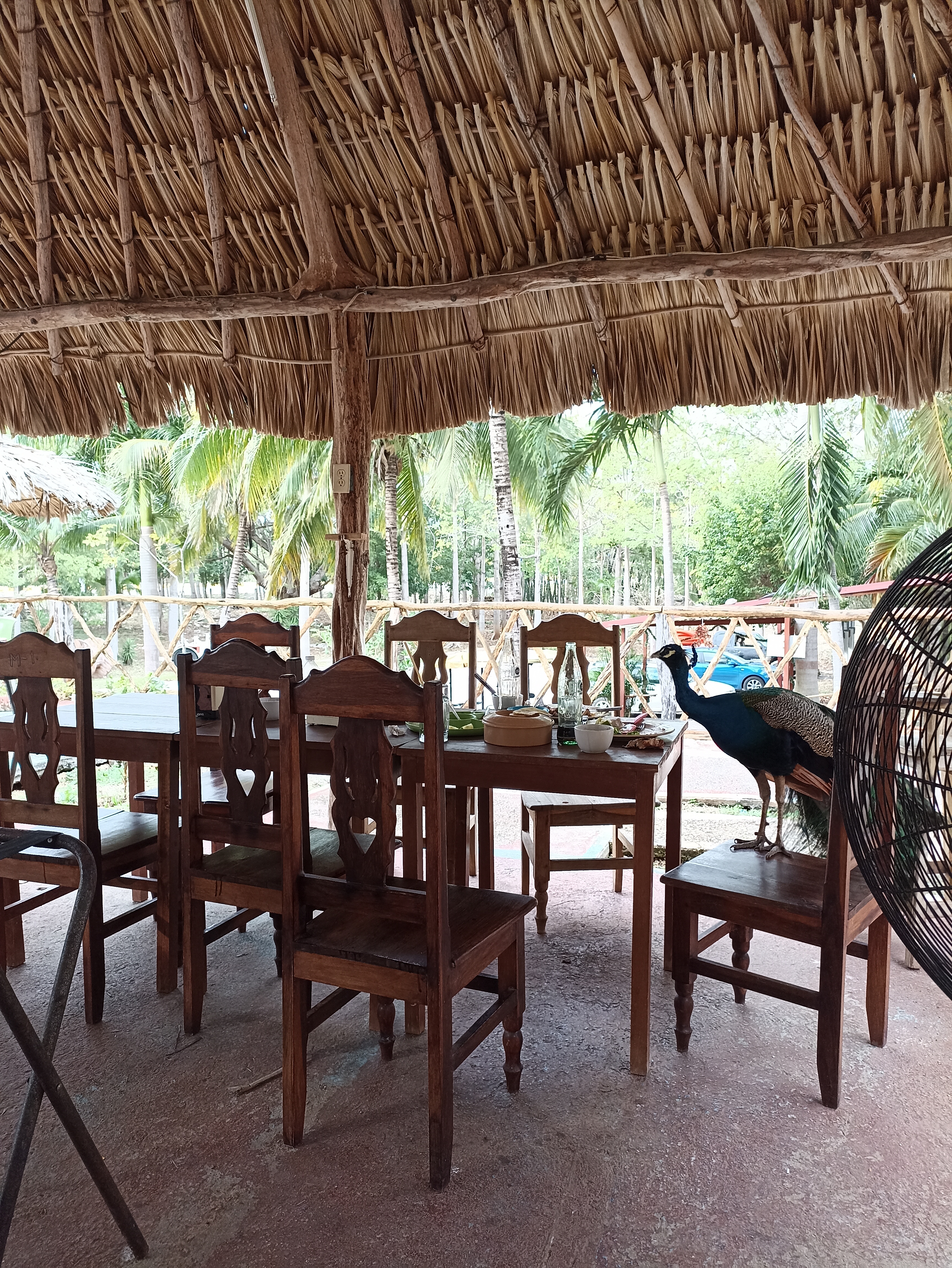 Restaurante La Tasca image 7