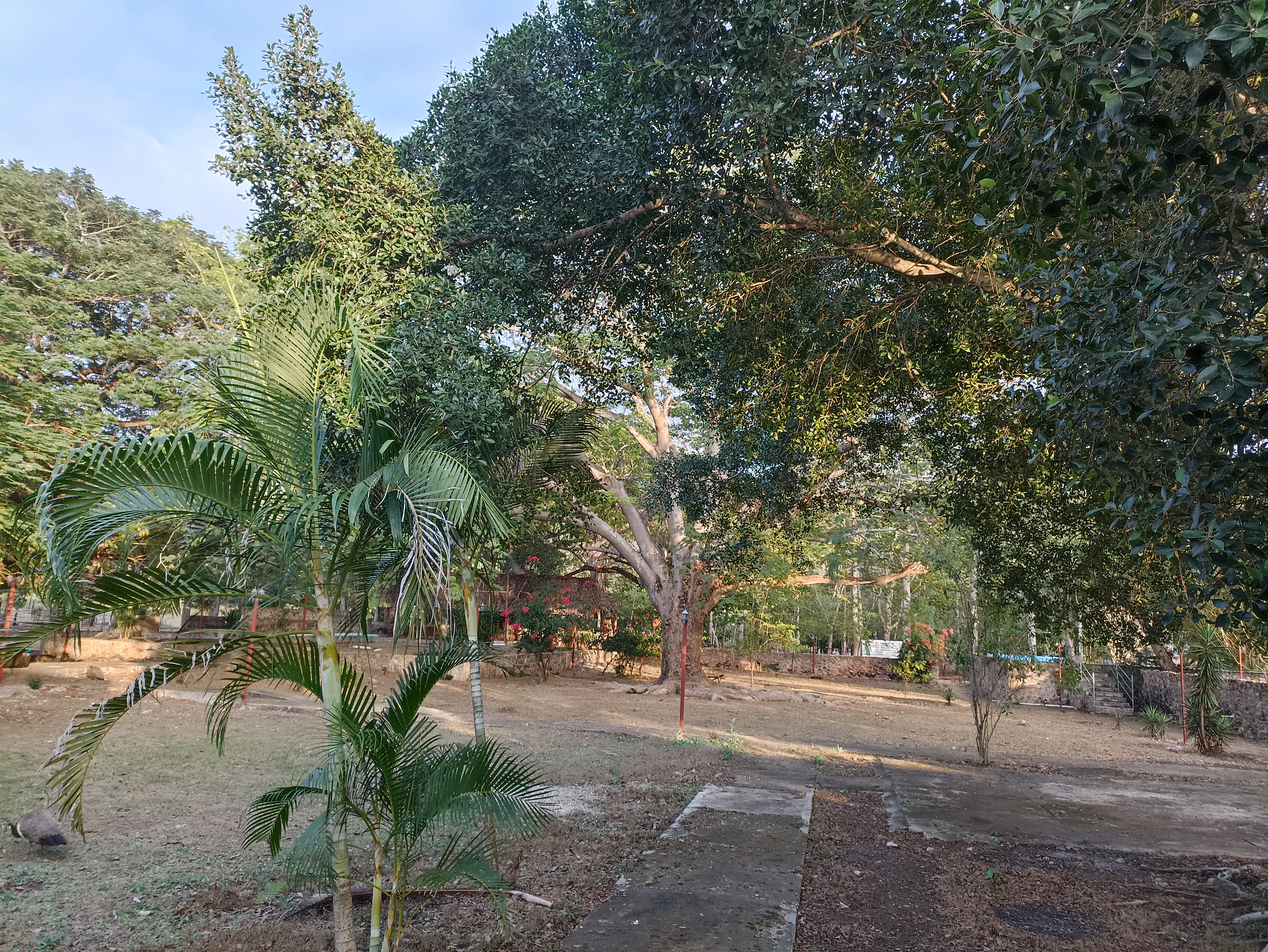 Restaurante La Tasca image 10