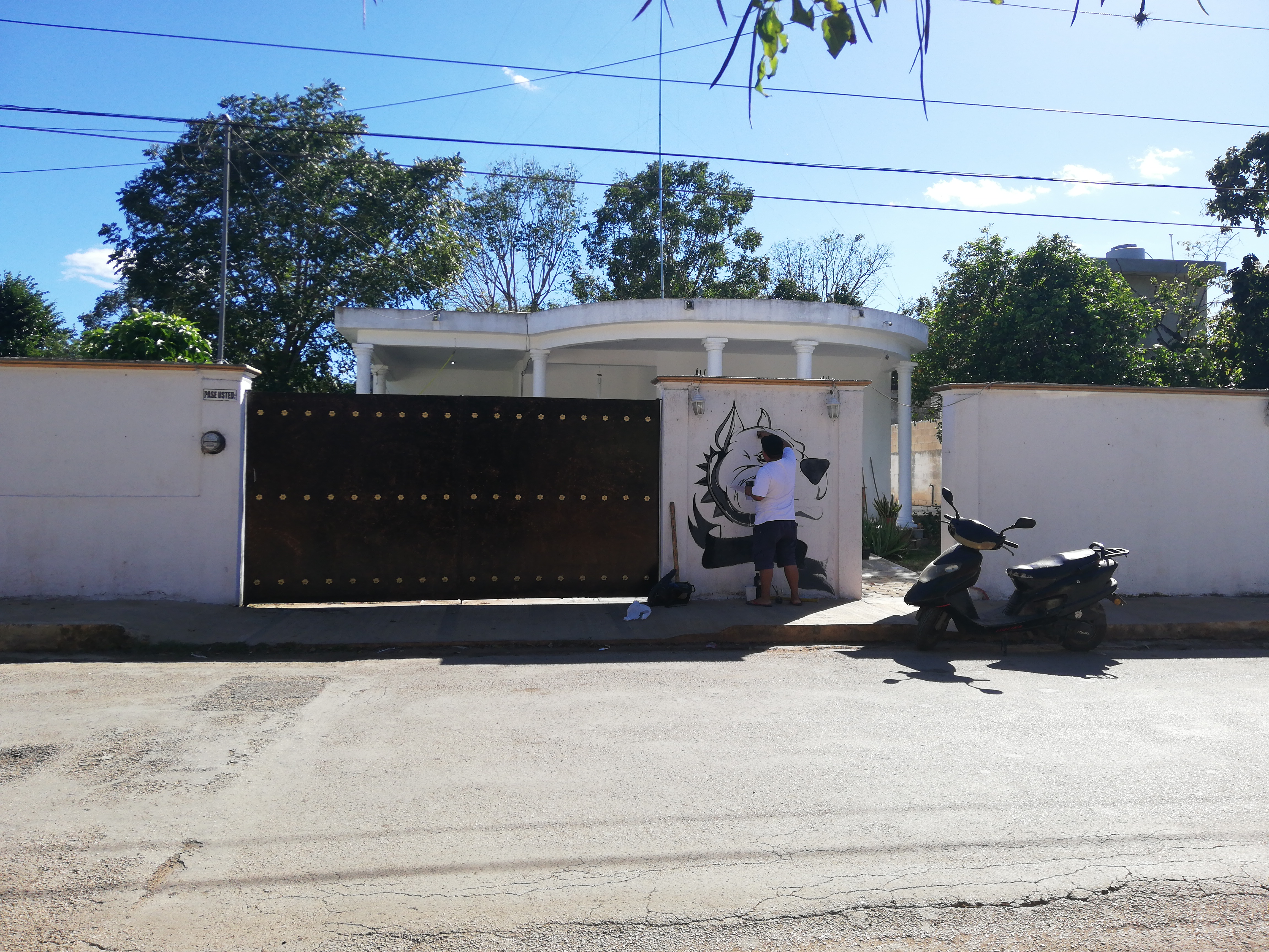 Sak Peek Hamburguesas image 8