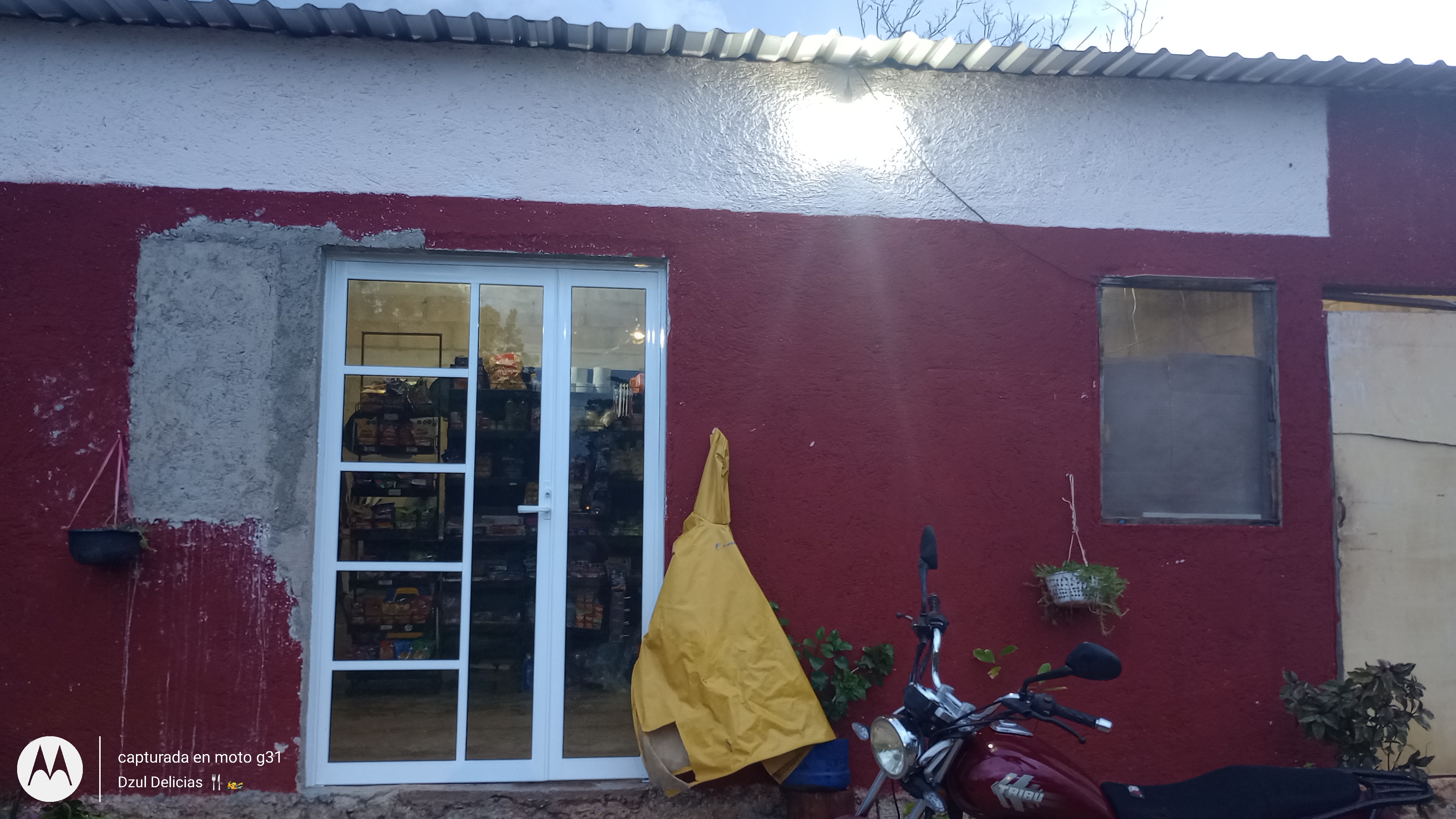 Dzul Delicias ‍ image 1