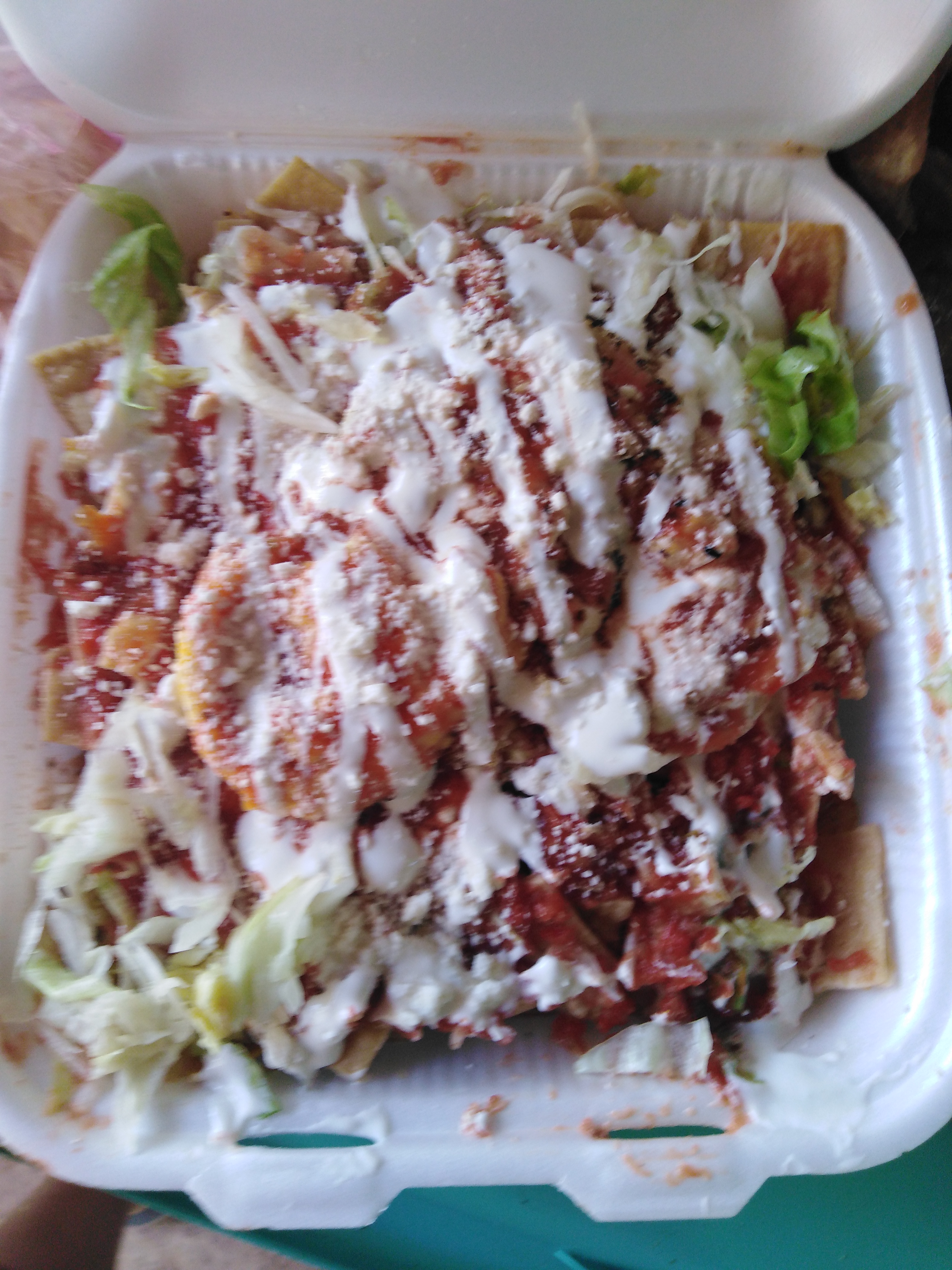 Dzul Delicias ‍ image 6