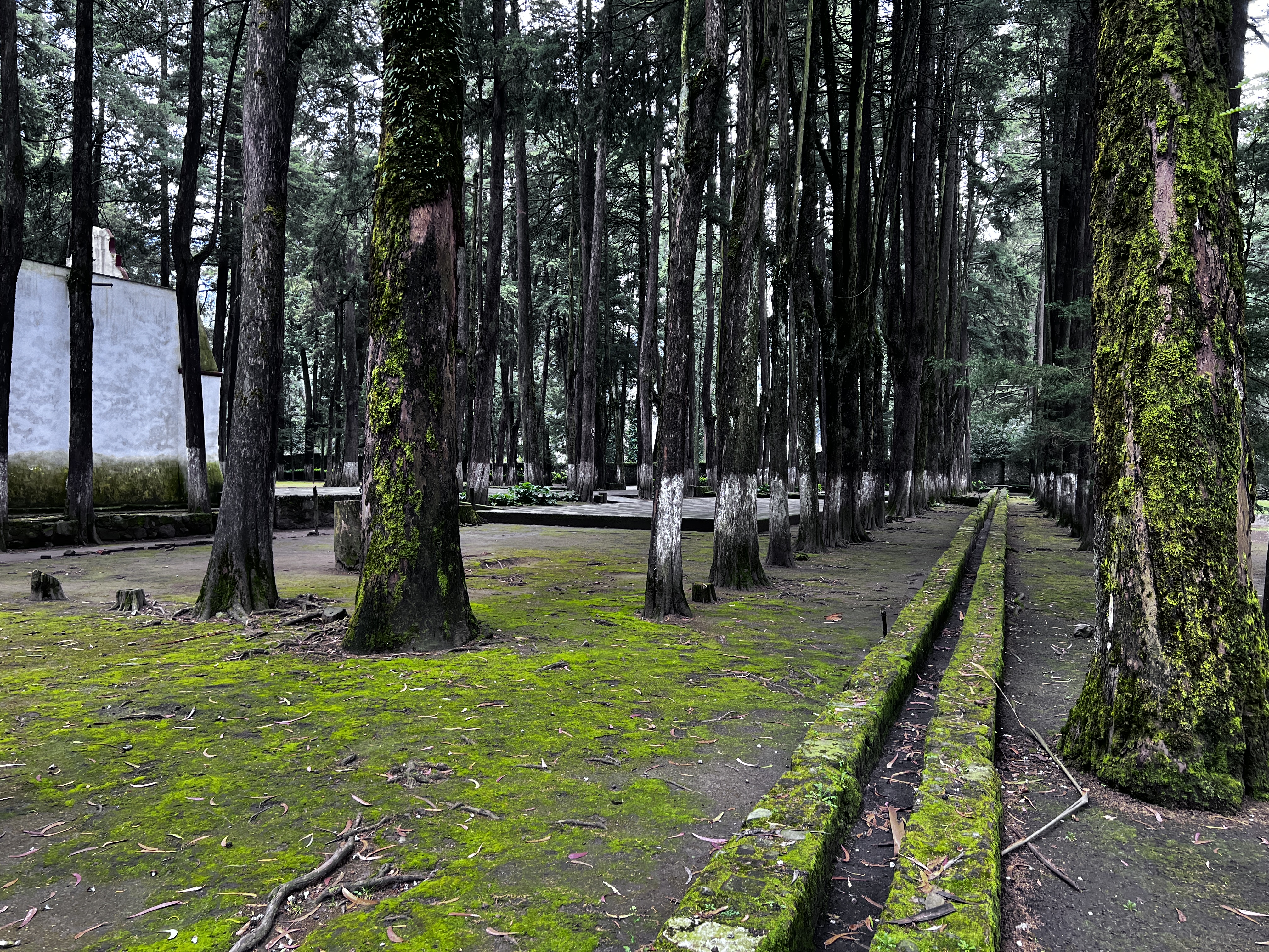 El Restaurante de los Monjes image 9
