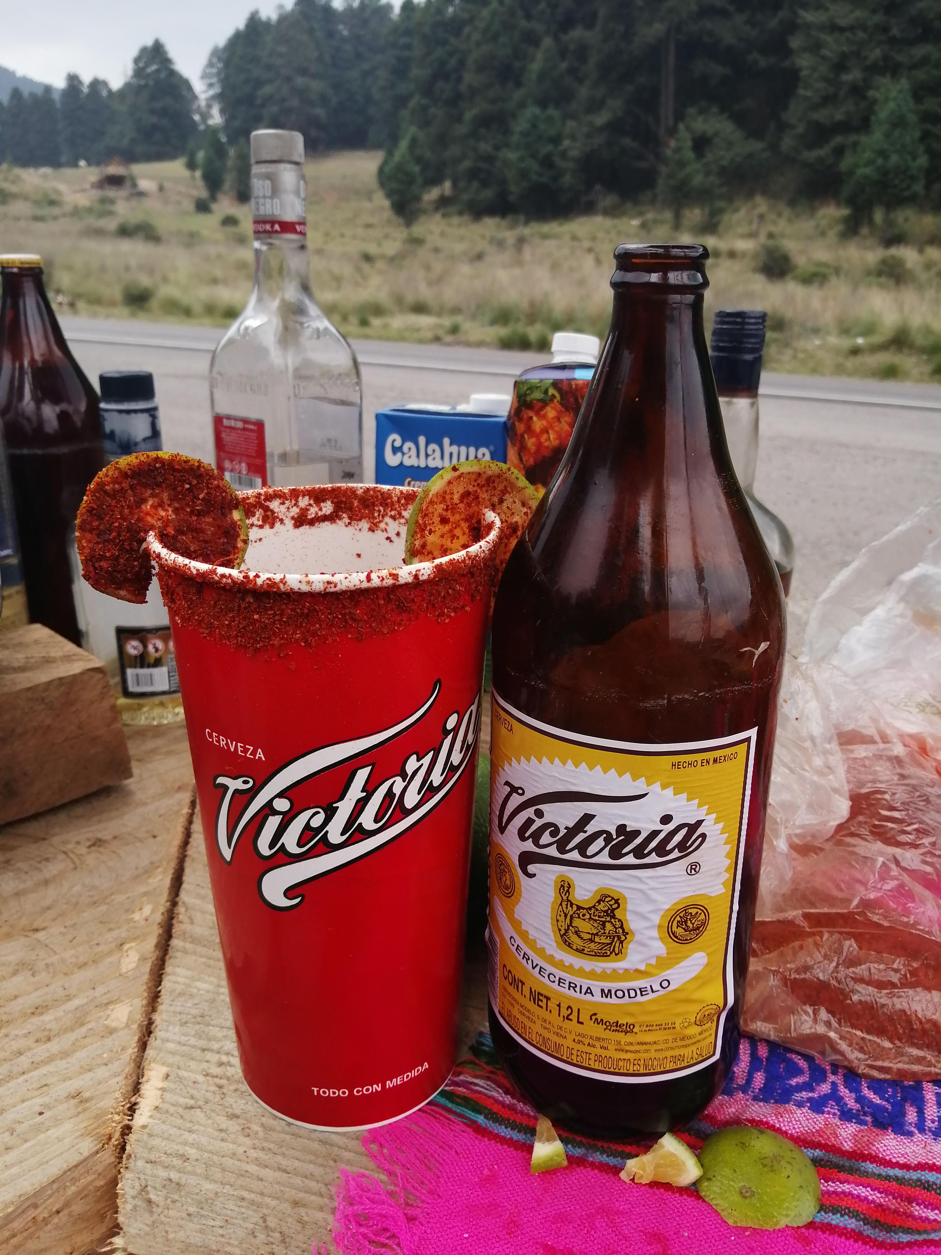 Cabaña Rancho Viejo image 10