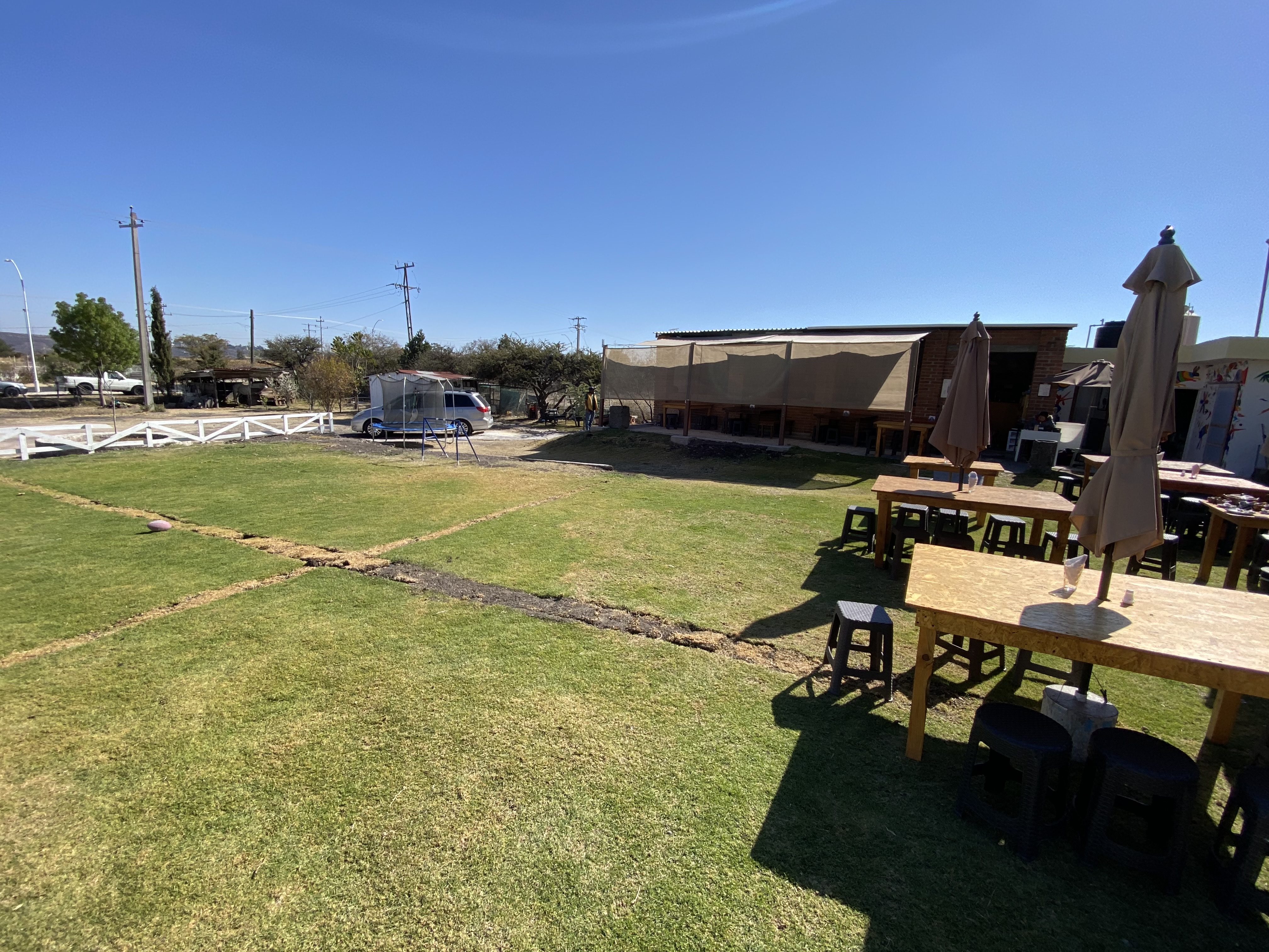 Cuatro Corderos image 8