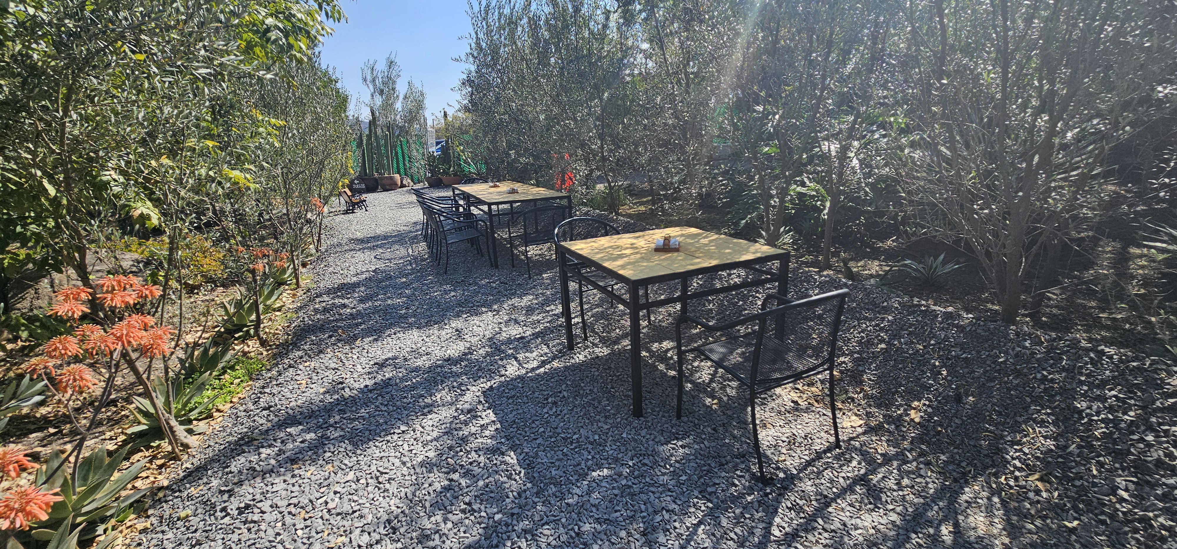 De La Tierra image 2