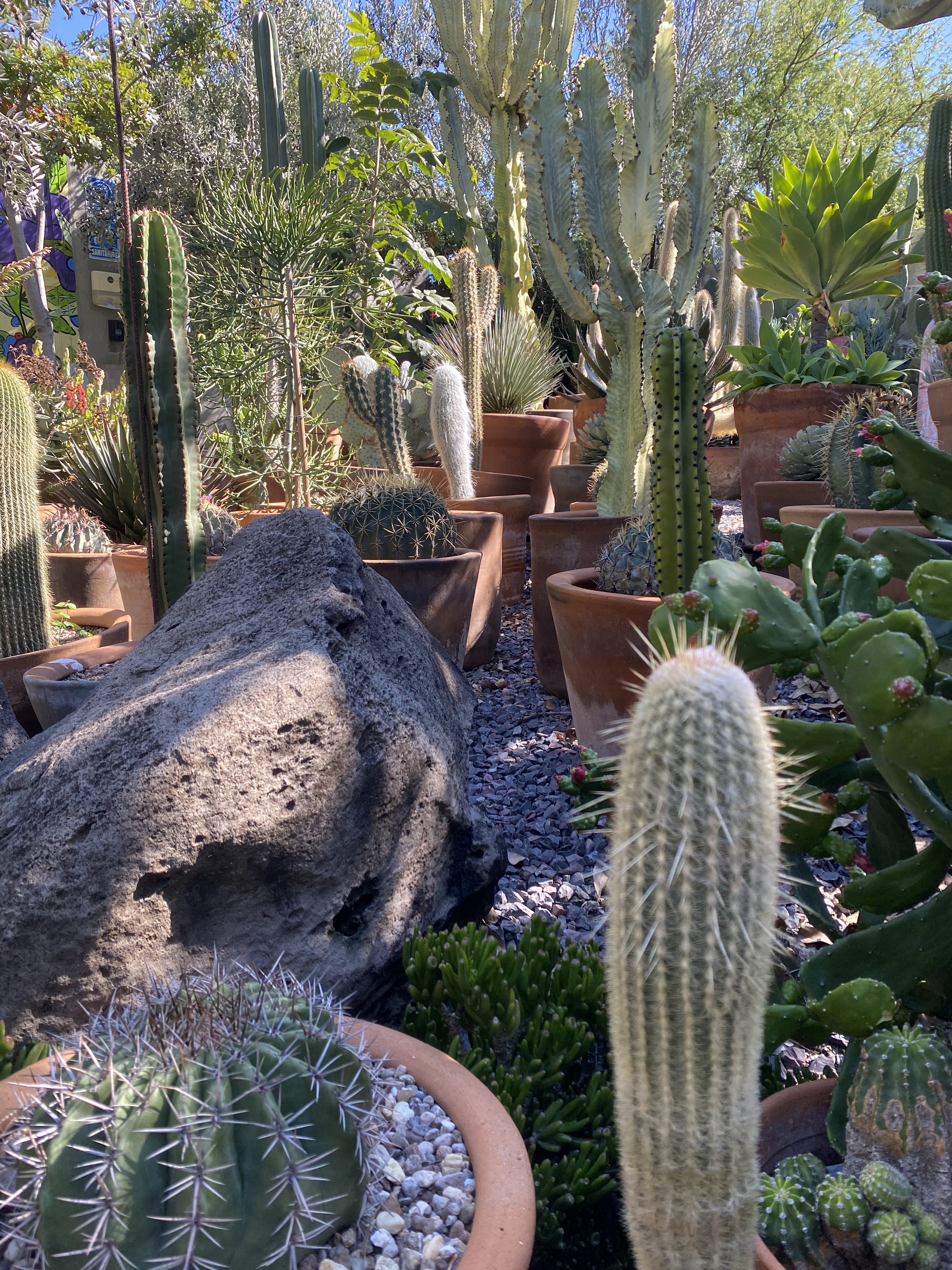 De La Tierra image 5