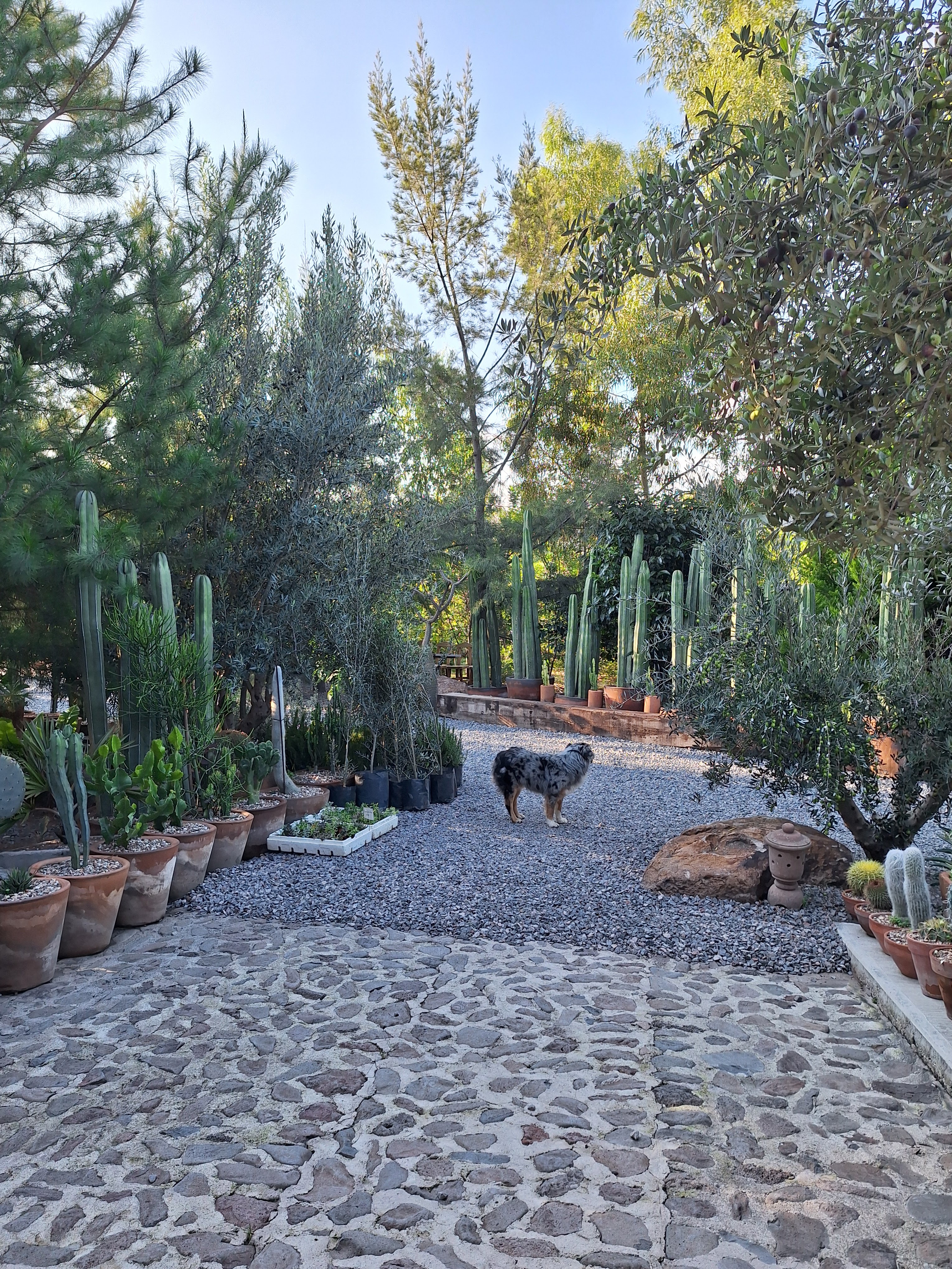 De La Tierra image 7