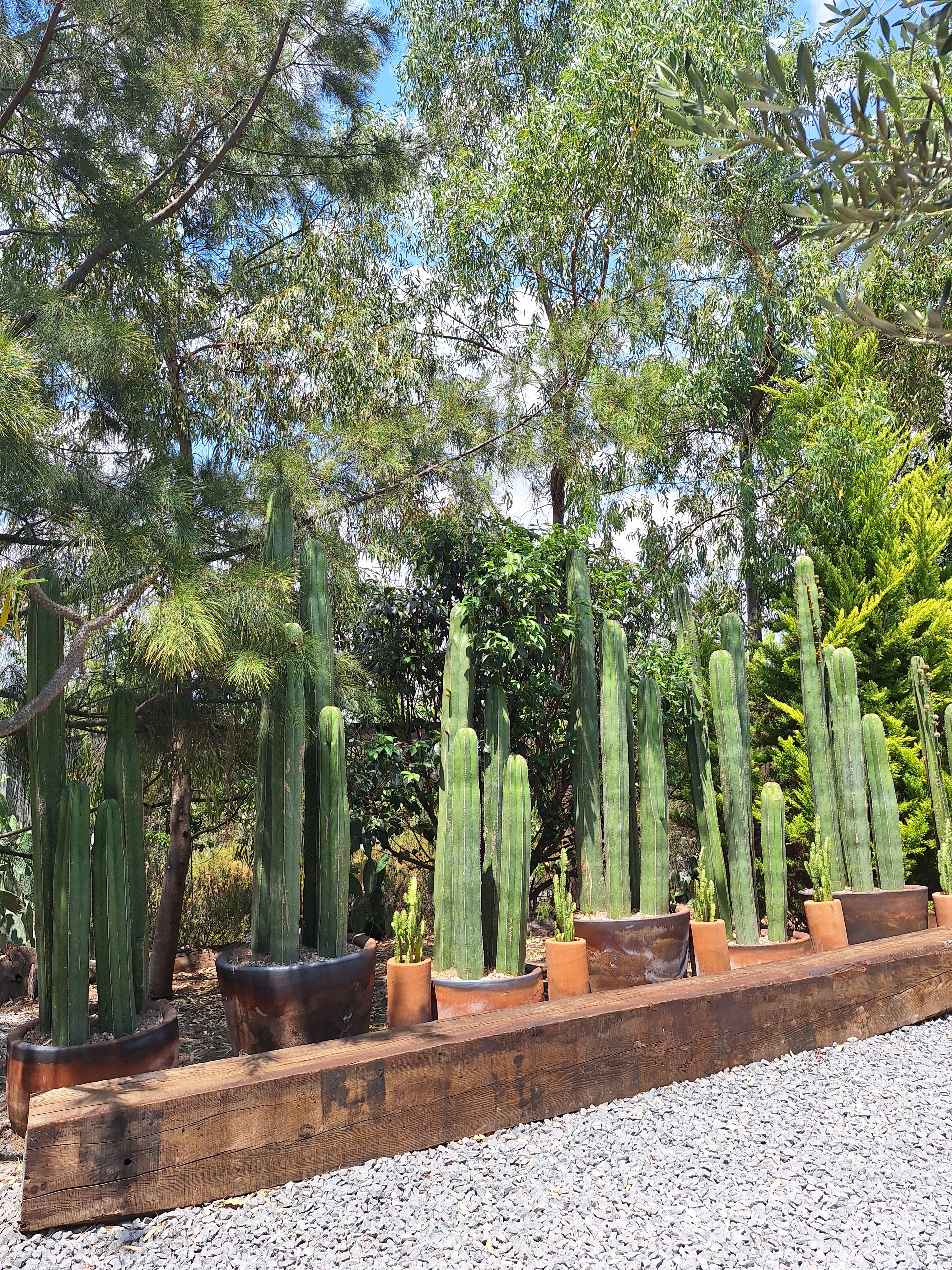 De La Tierra image 10