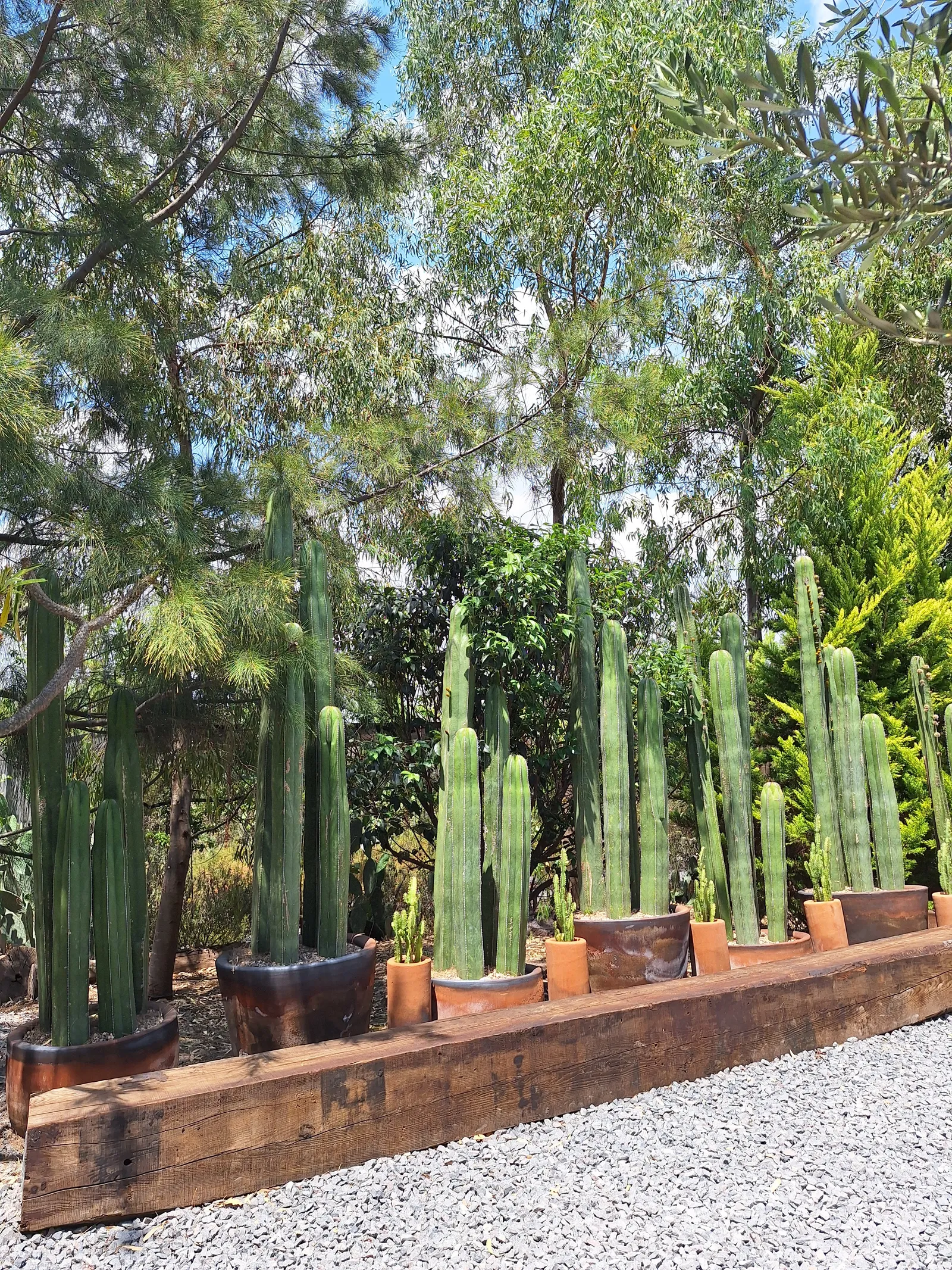 De La Tierra image 10