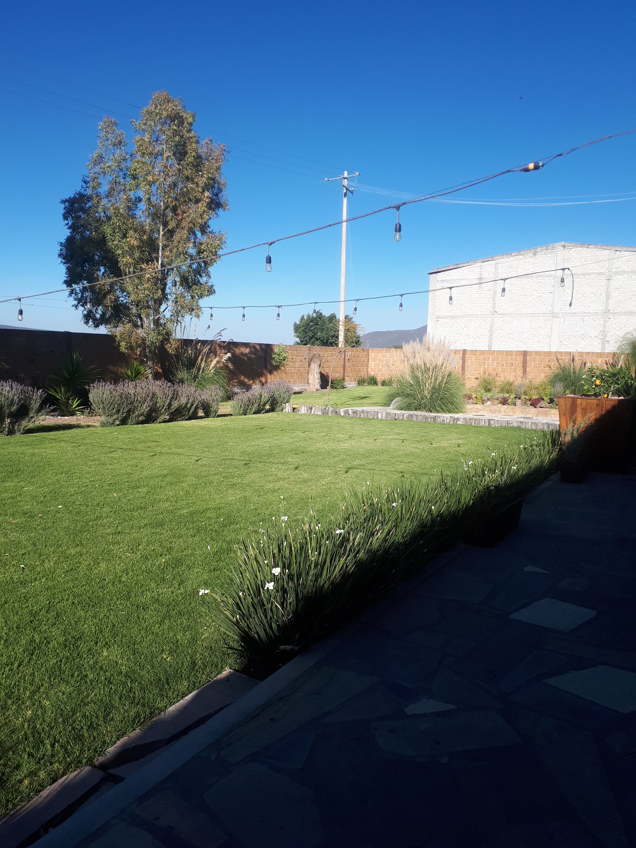 Viñedo San Rafael image 3