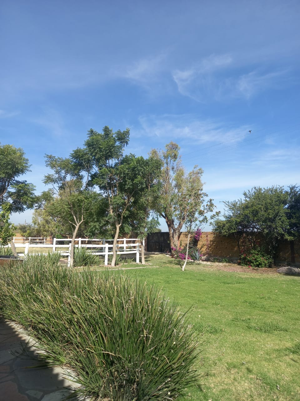 Viñedo San Rafael image 4