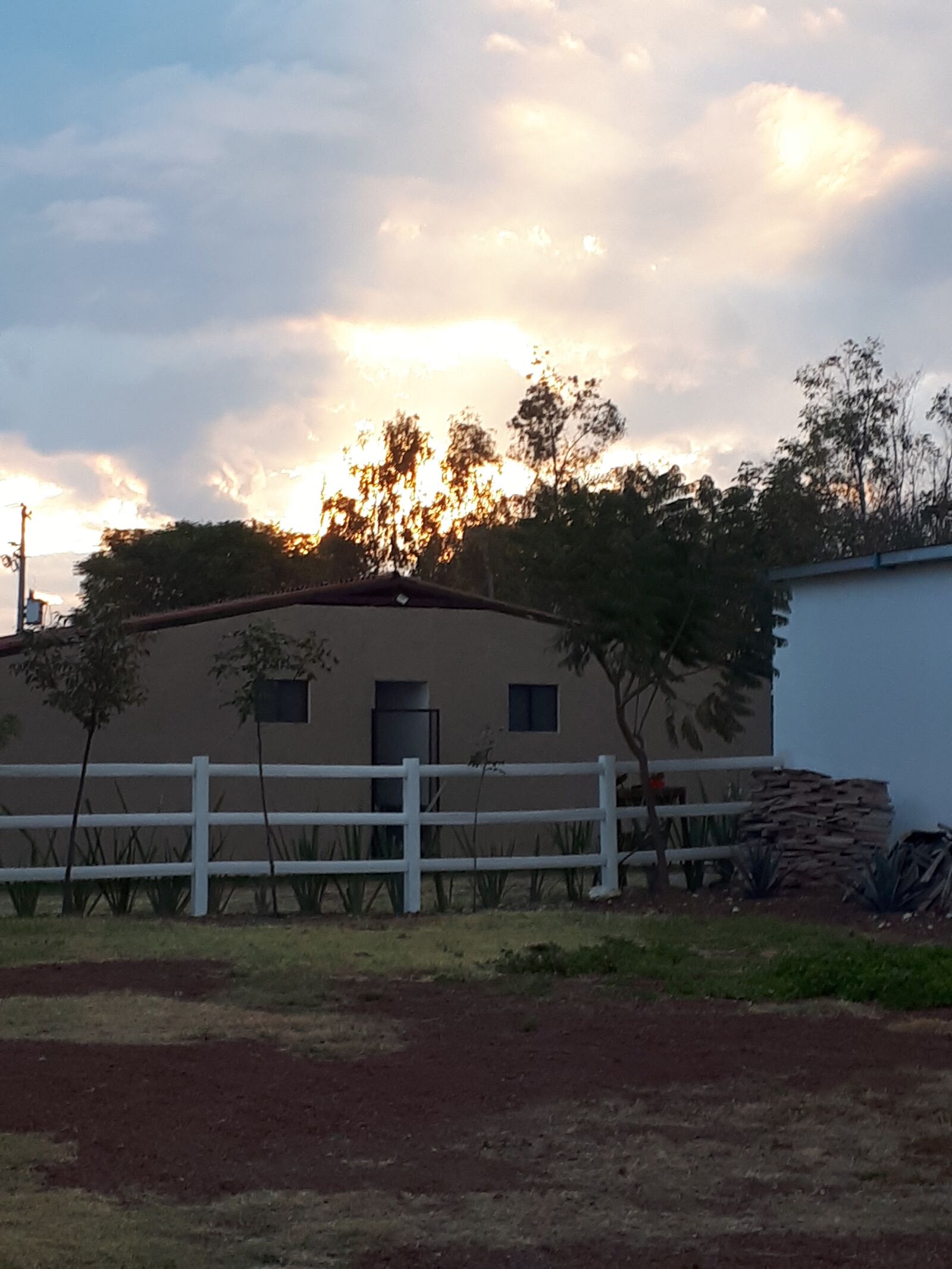 Viñedo San Rafael image 9