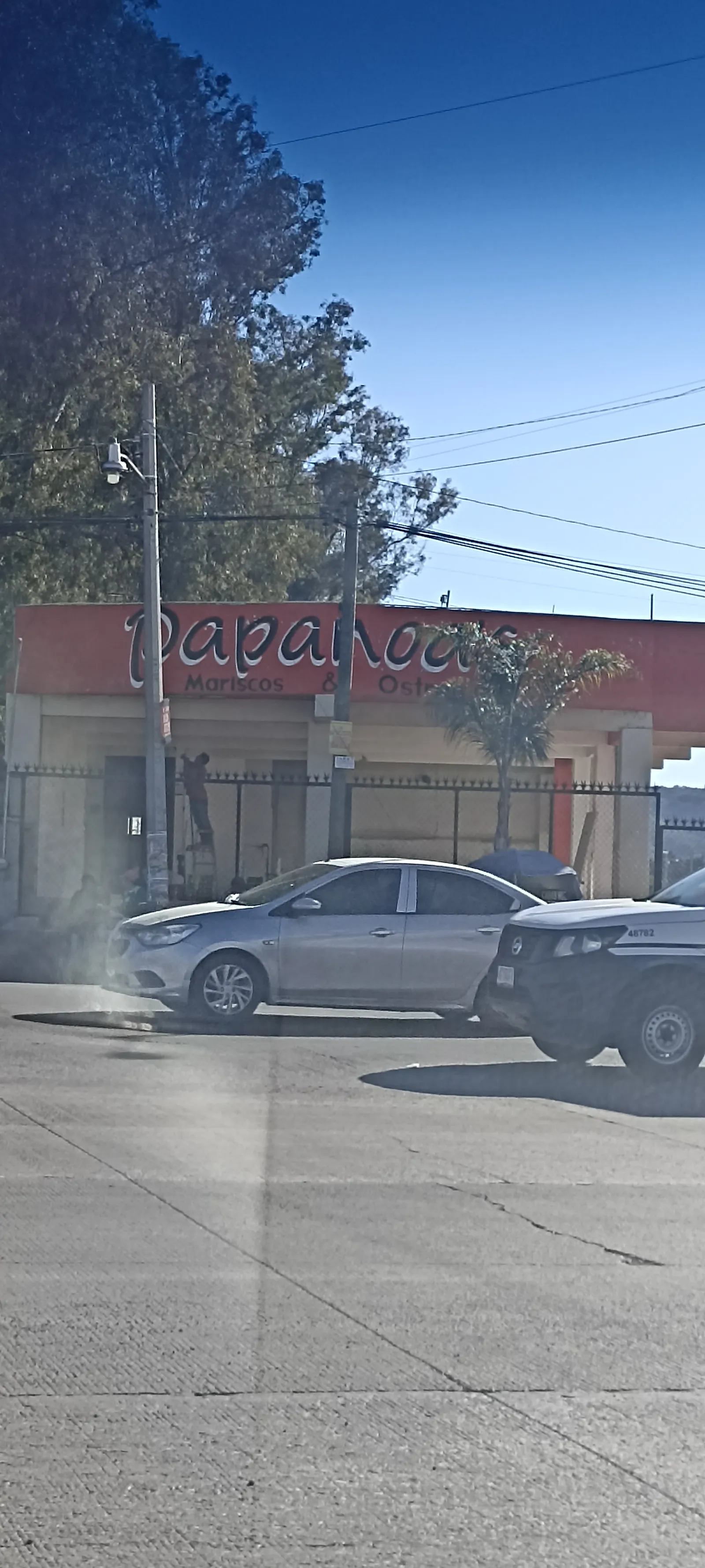 Papanoa's Mariscos & Ostras image 8