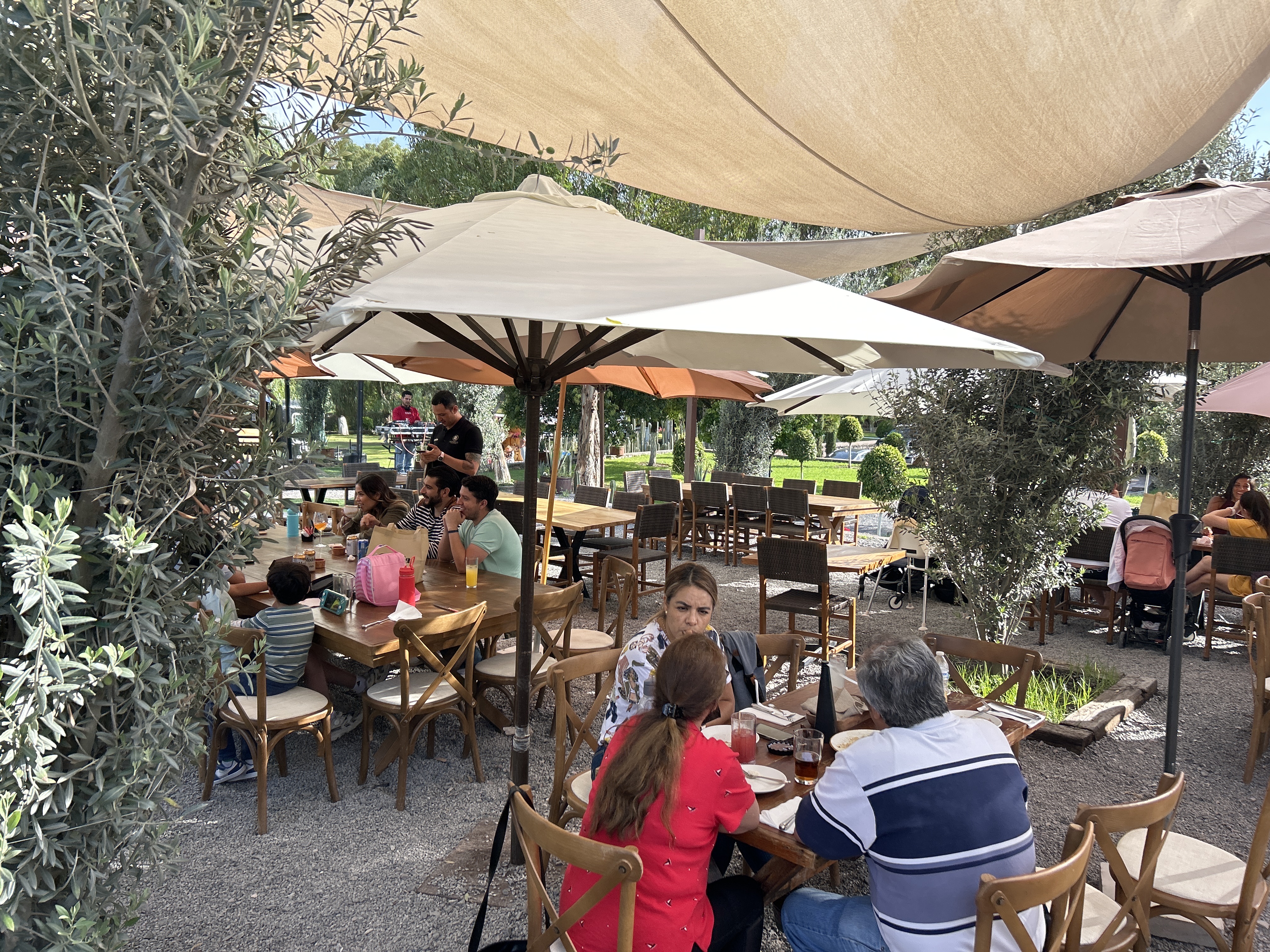 Giulia Querétaro image 4