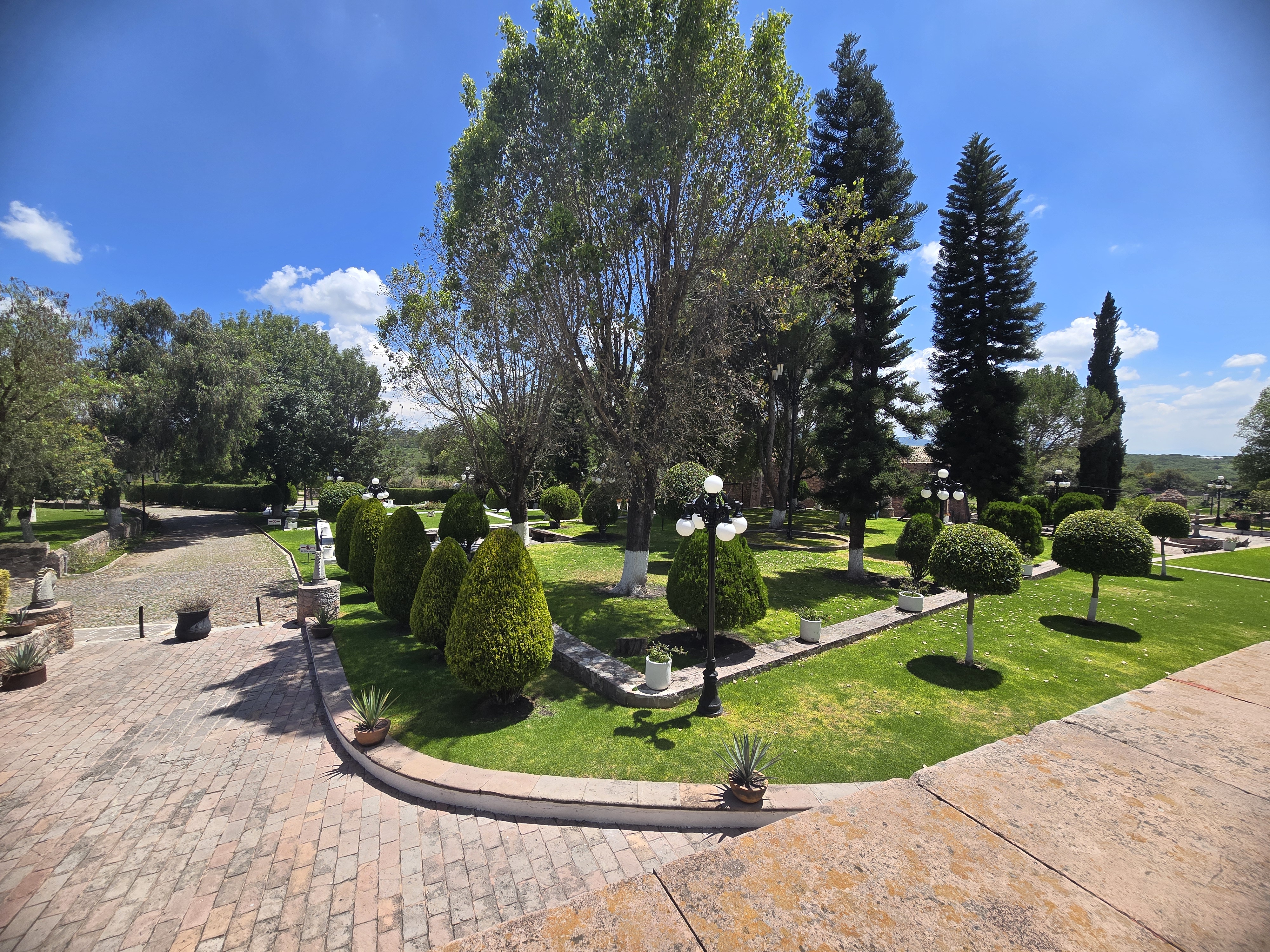 Giulia Querétaro image 6