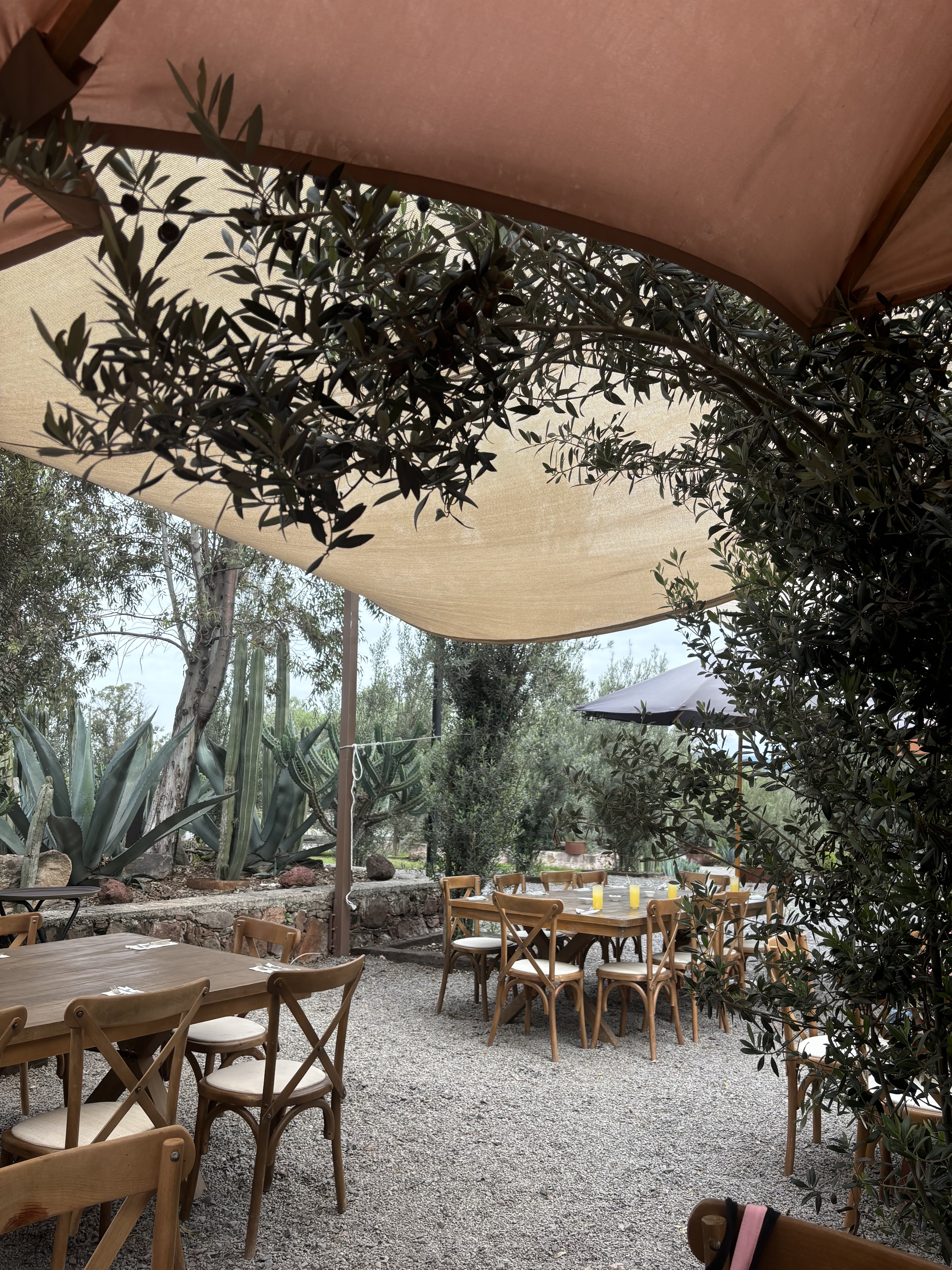 Giulia Querétaro image 7