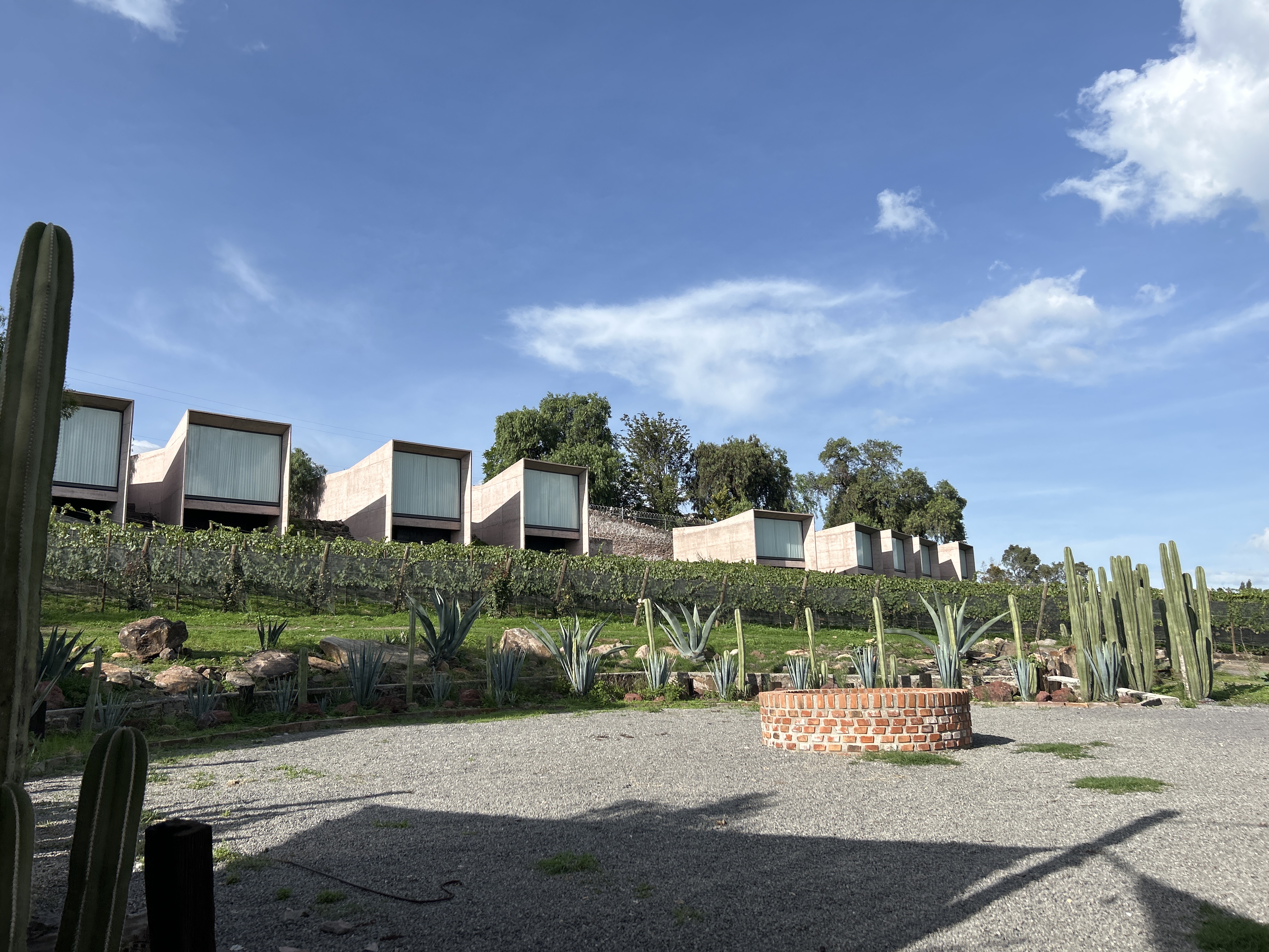 Giulia Querétaro image 8