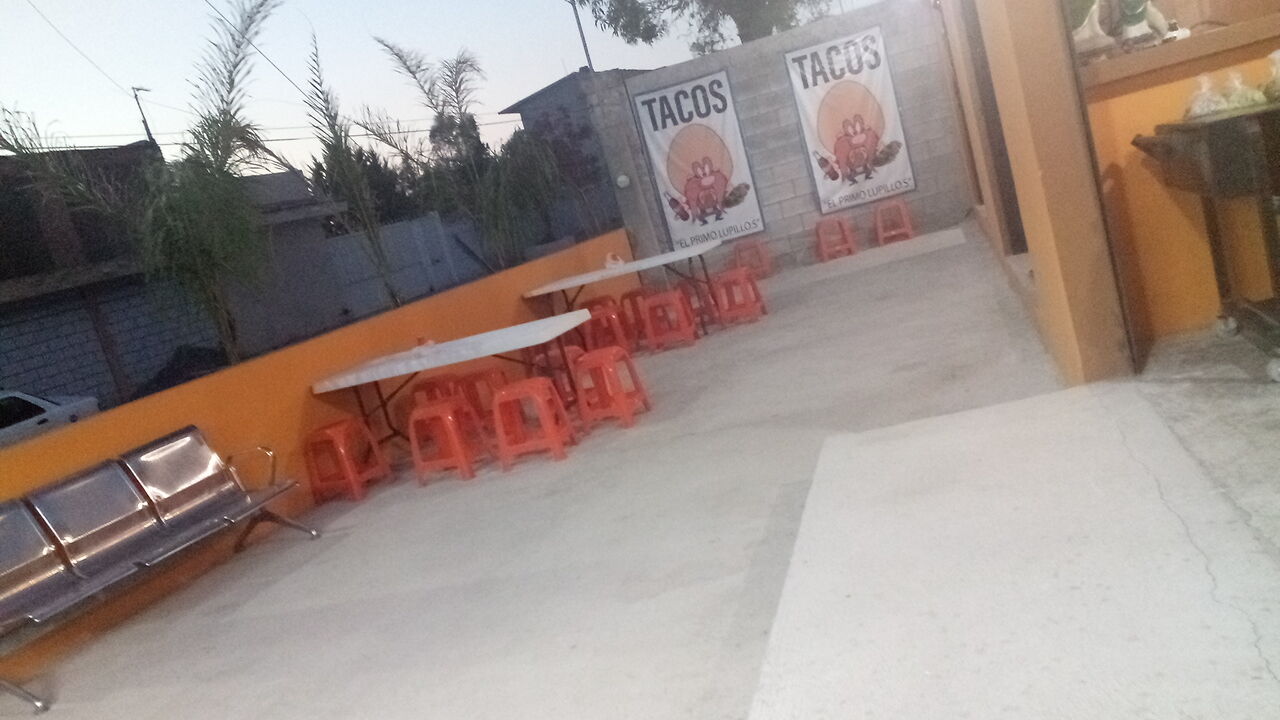 Tacos Lupillos image 5