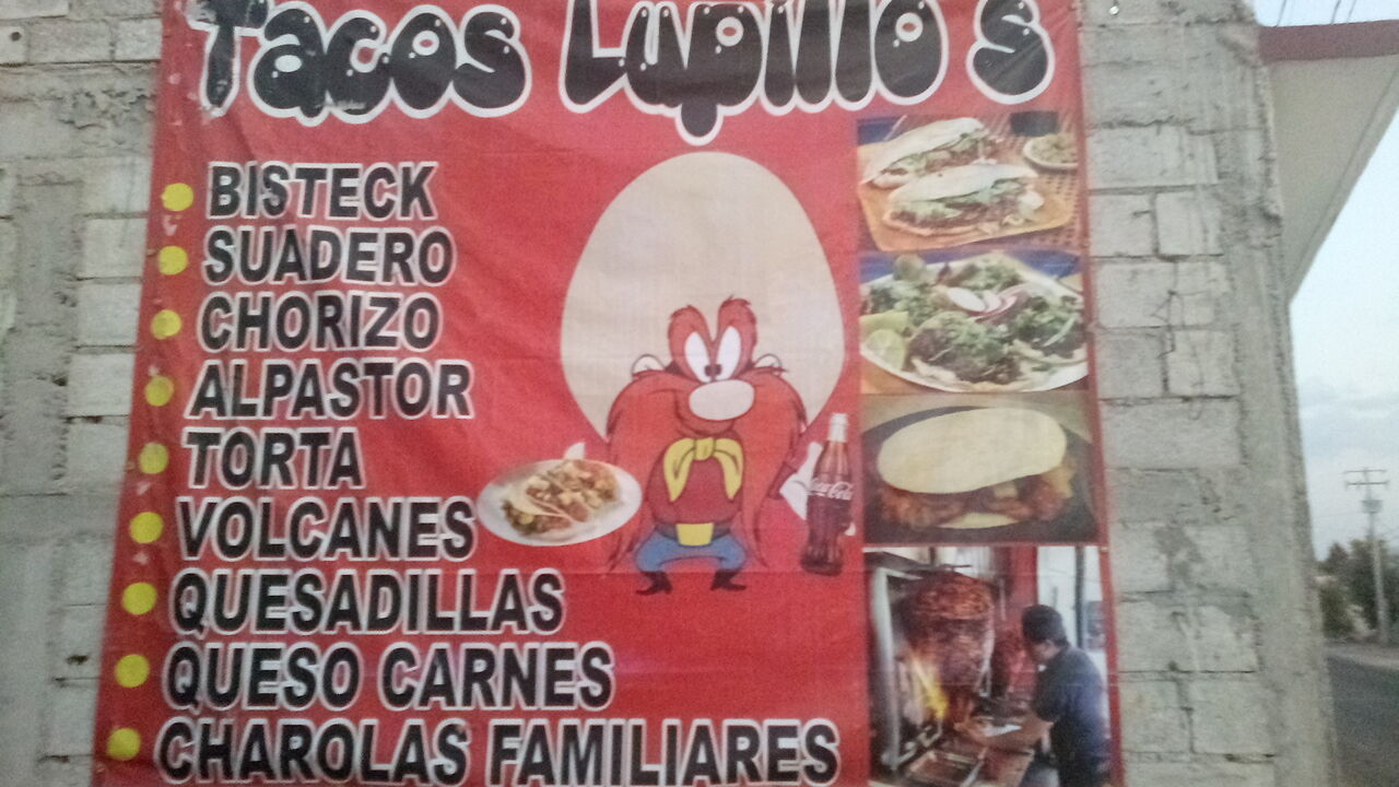 Tacos Lupillos image 6