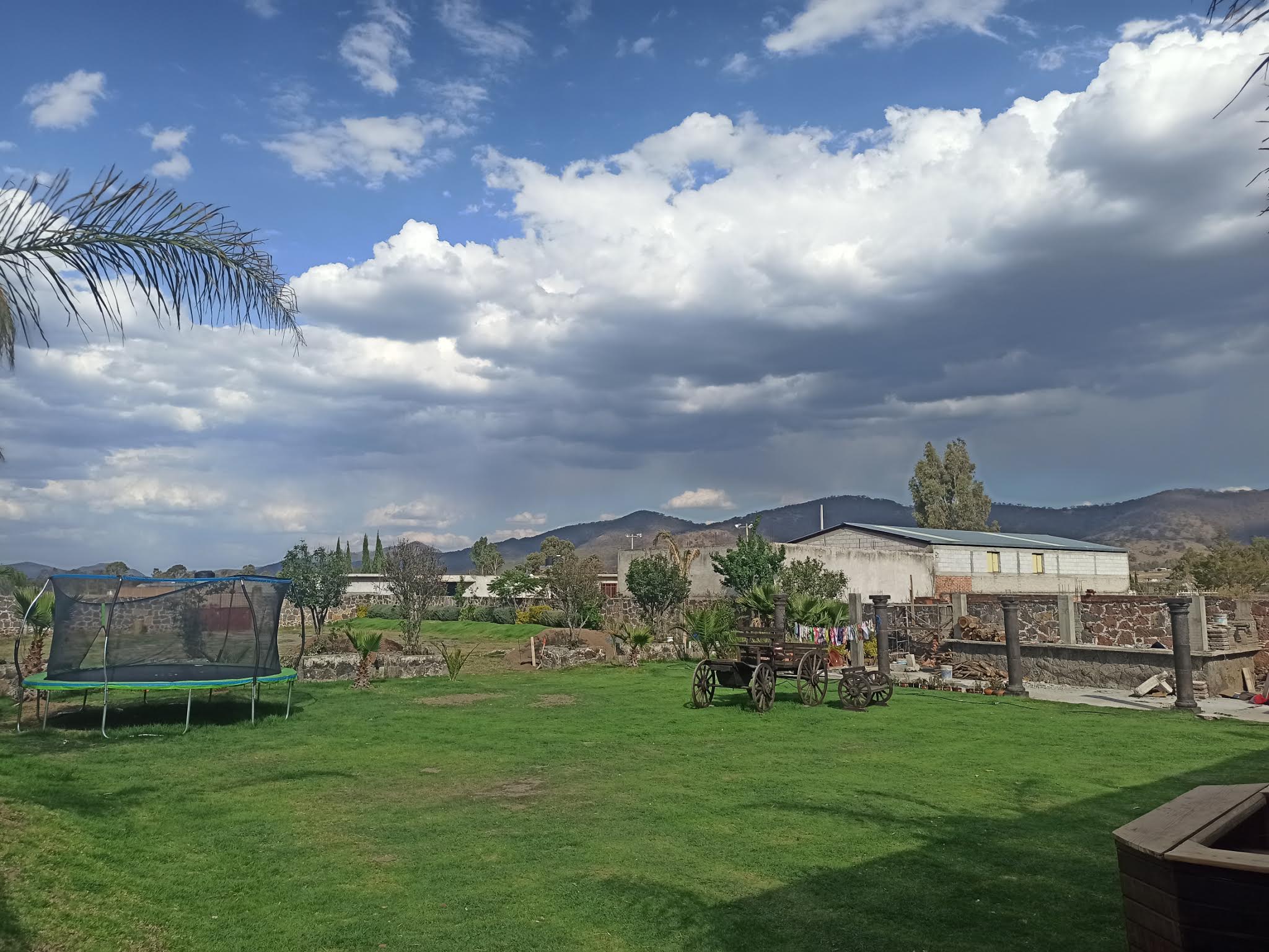 Las Paolas Carnes y Mariscos, Bar familiar image 8