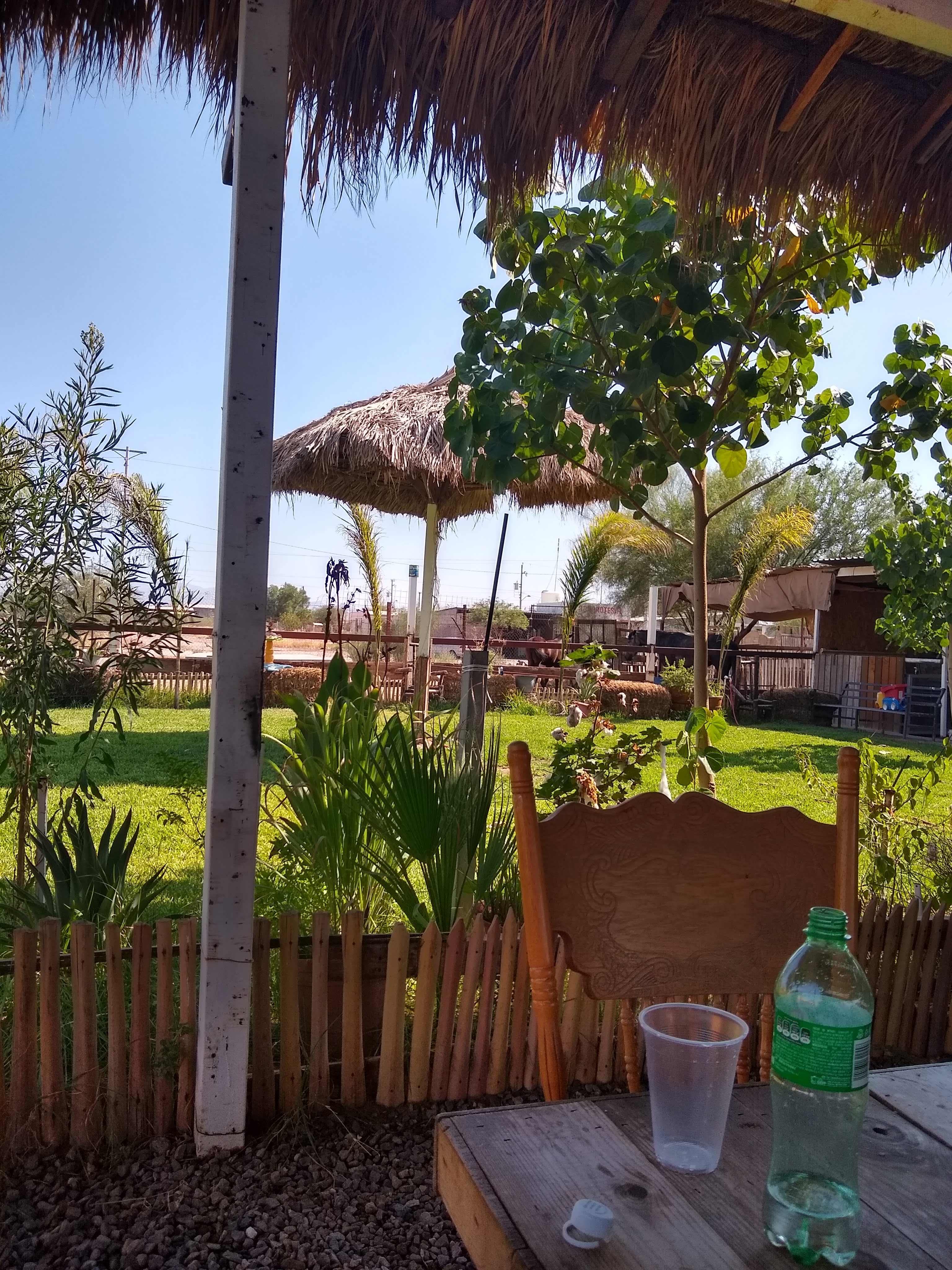 Mariscos El Botanero image 1