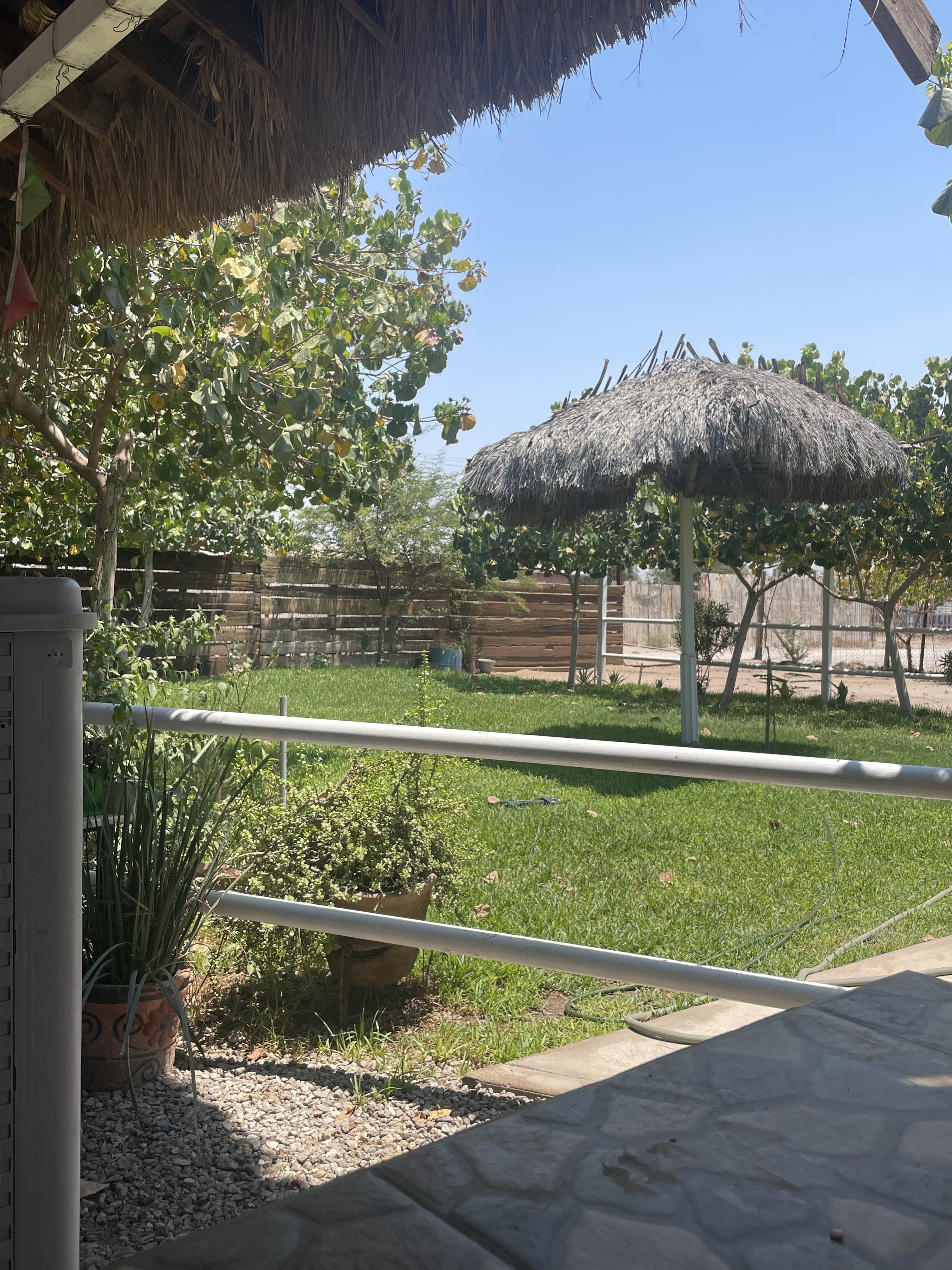 Mariscos El Botanero image 5