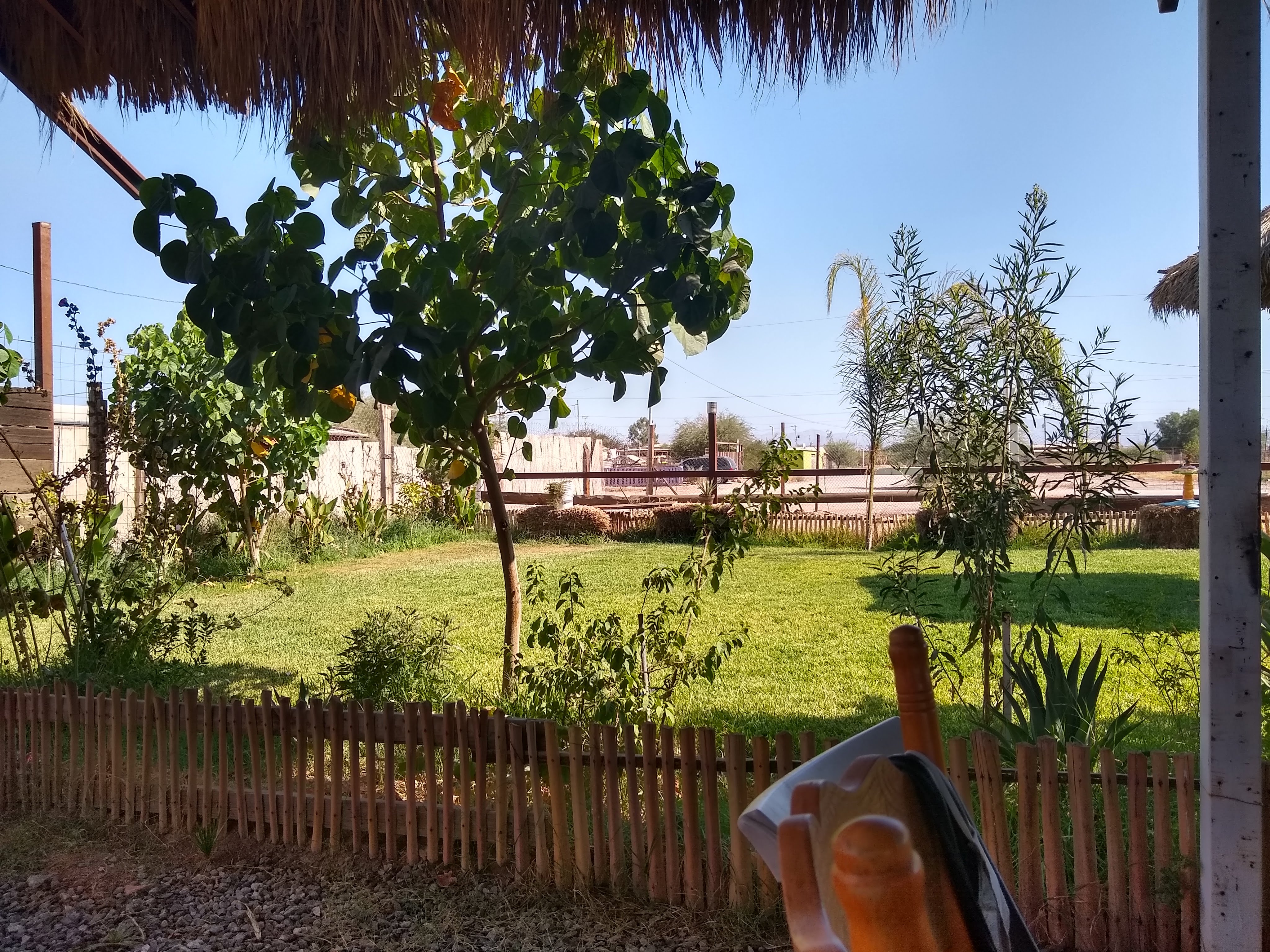 Mariscos El Botanero image 7