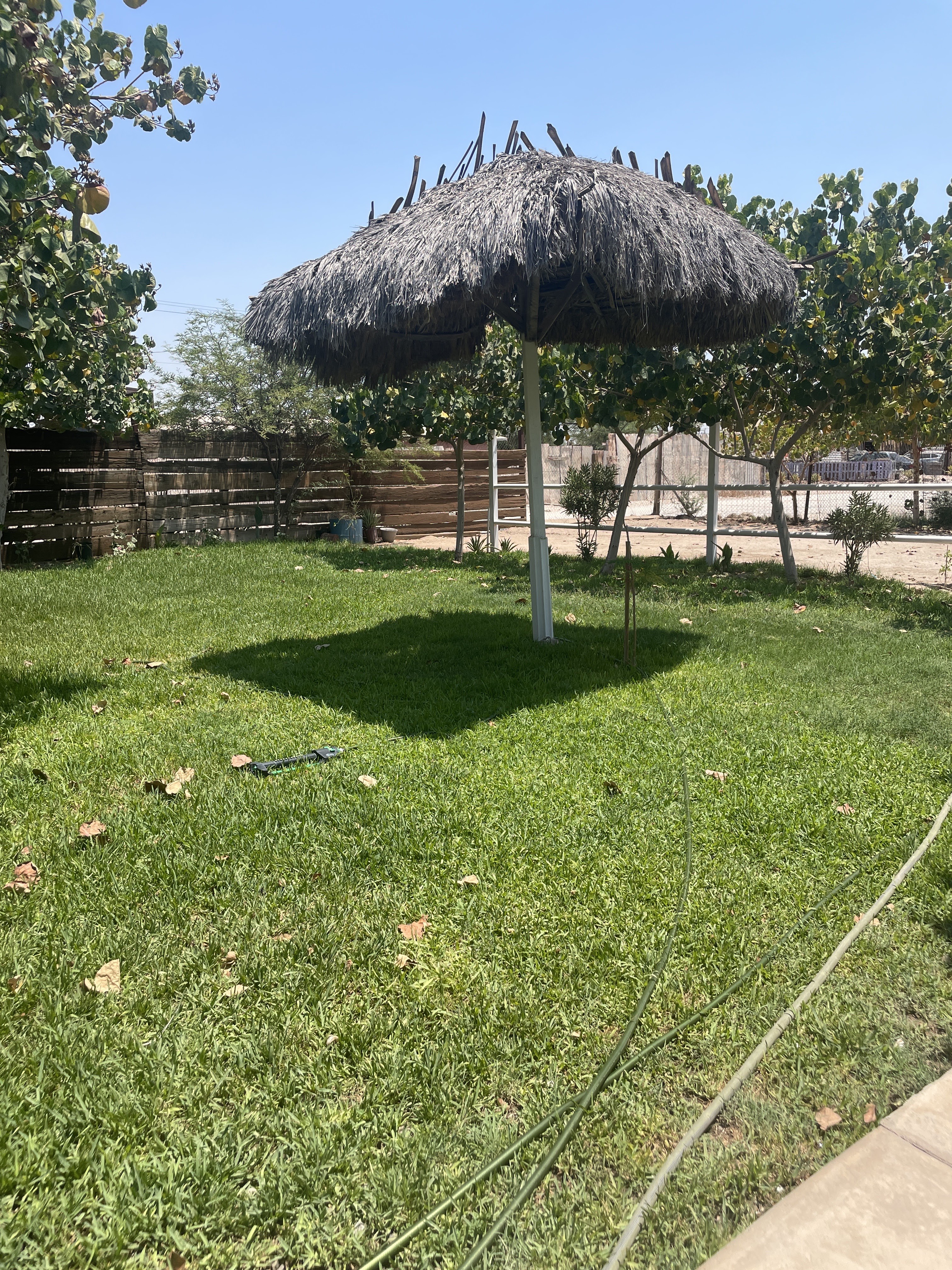 Mariscos El Botanero image 10