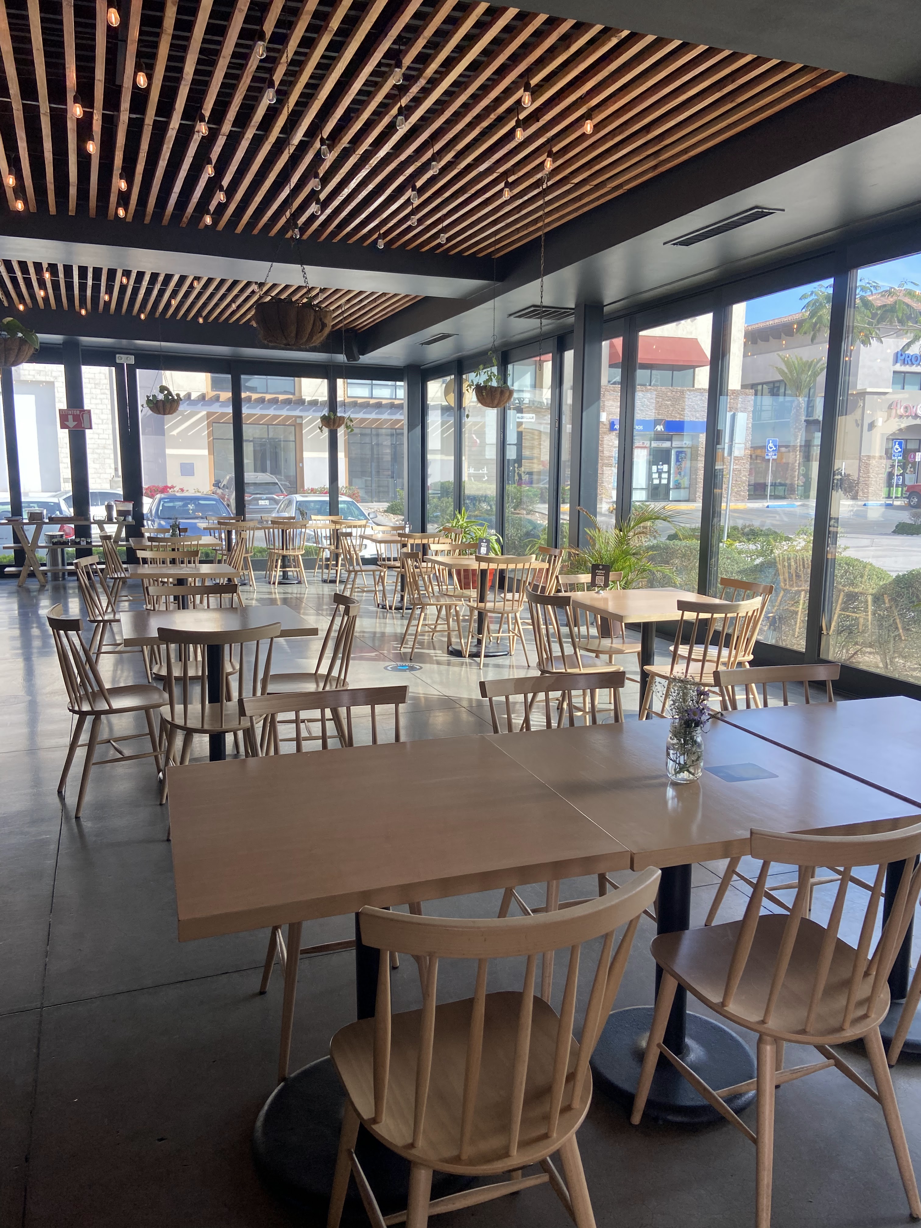 Alma Verde Mexicali image 1