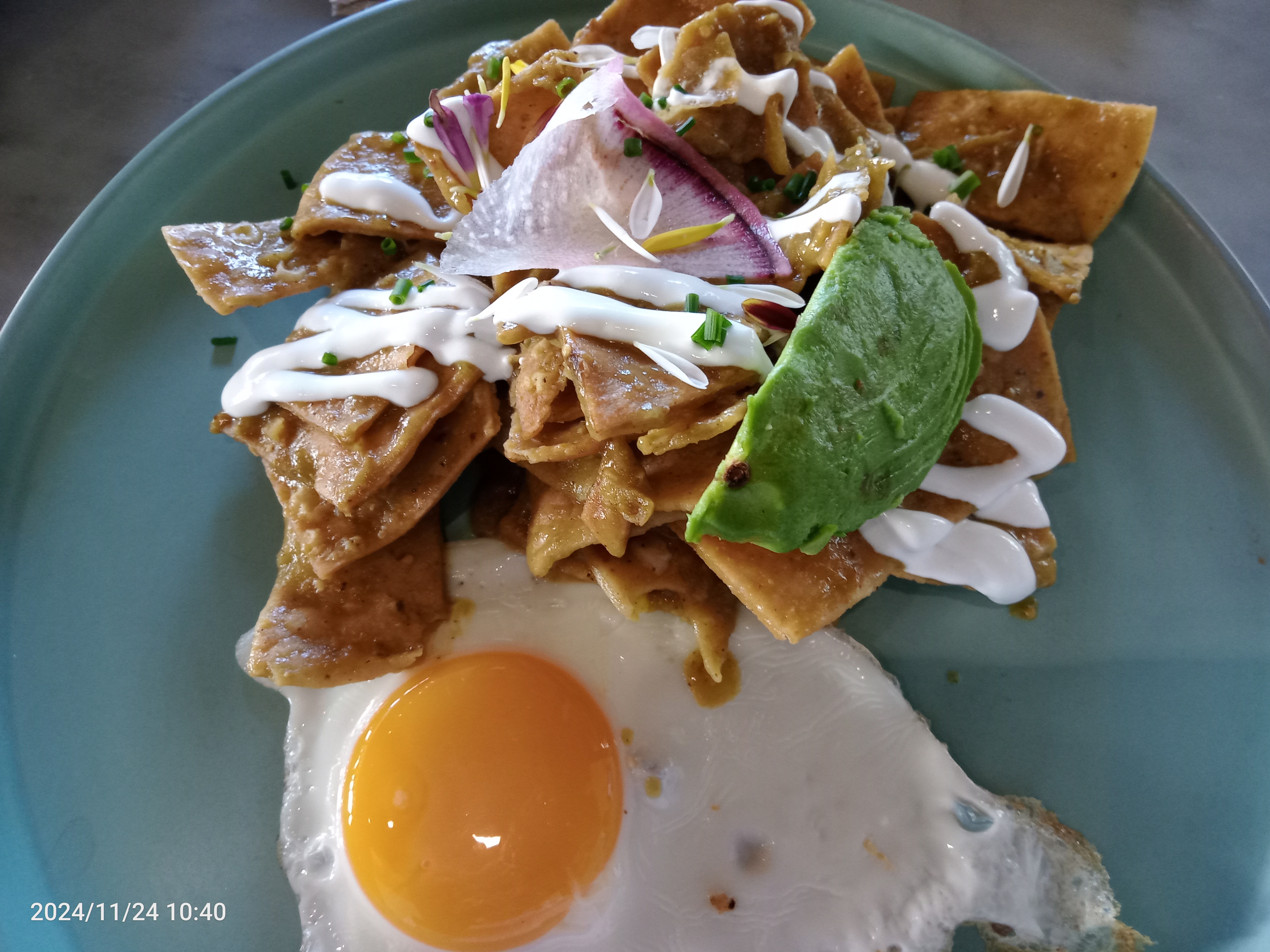 Alma Verde Mexicali image 8