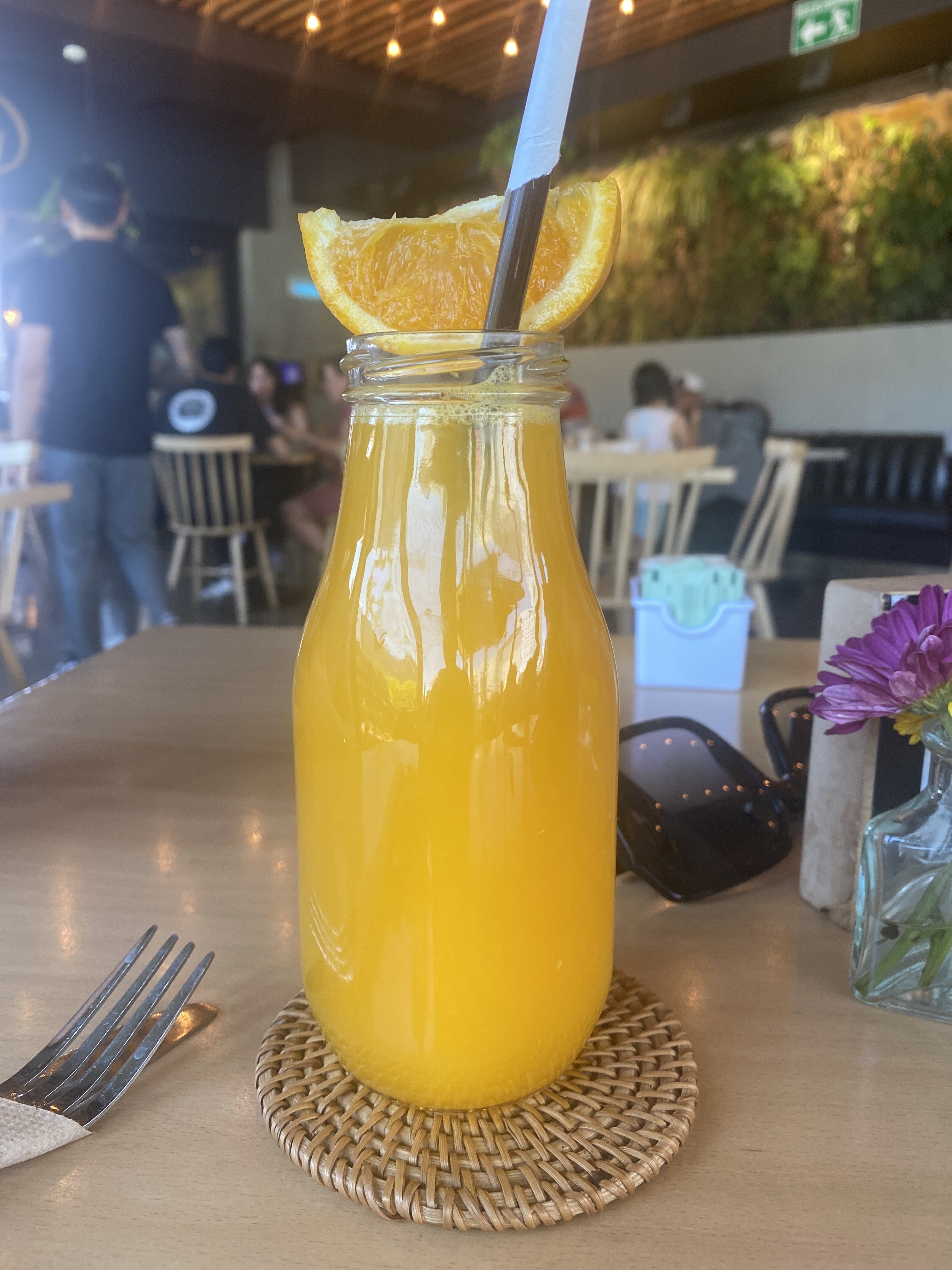 Alma Verde Mexicali image 10