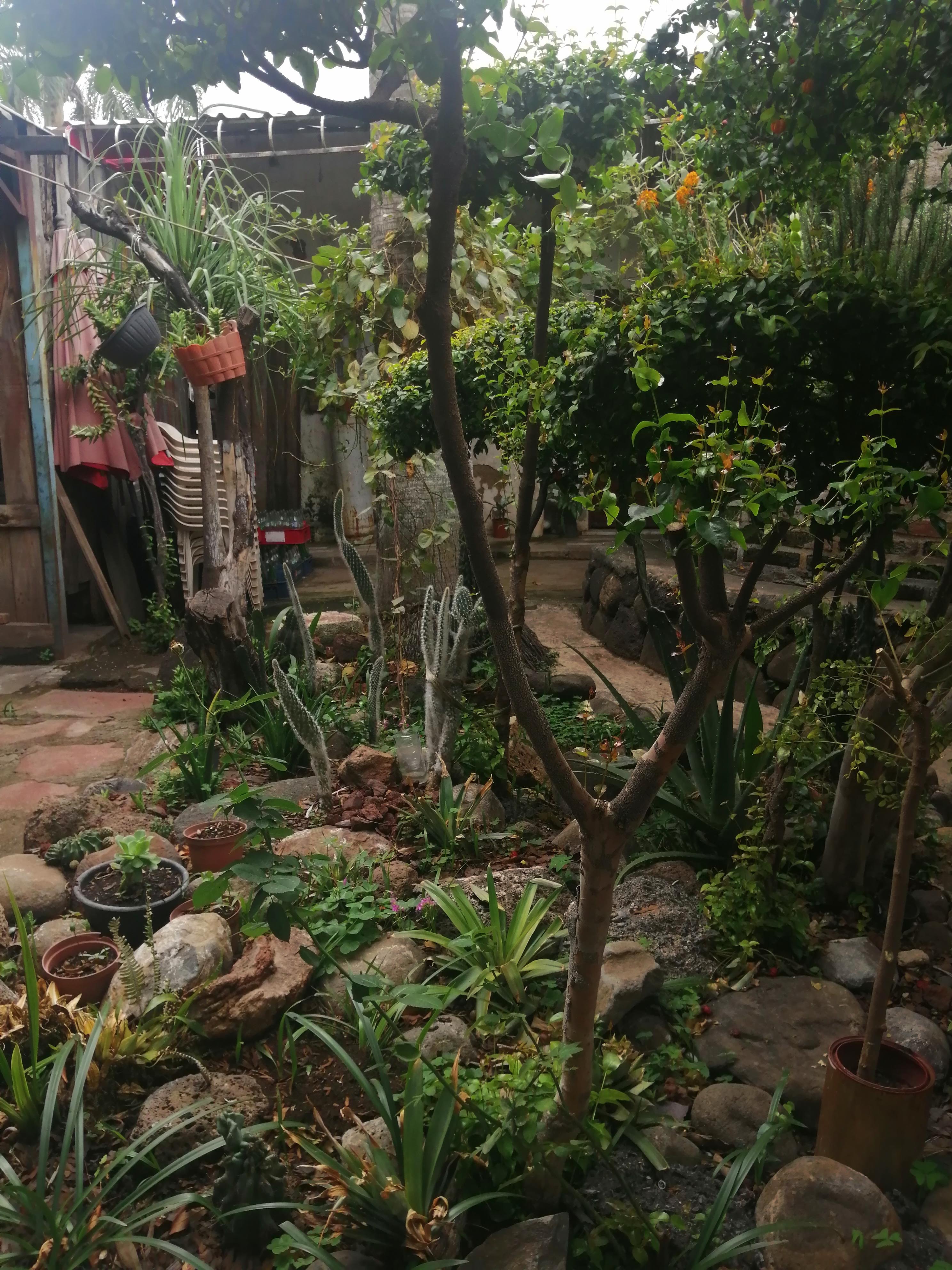 Menuderia Ochoas image 4