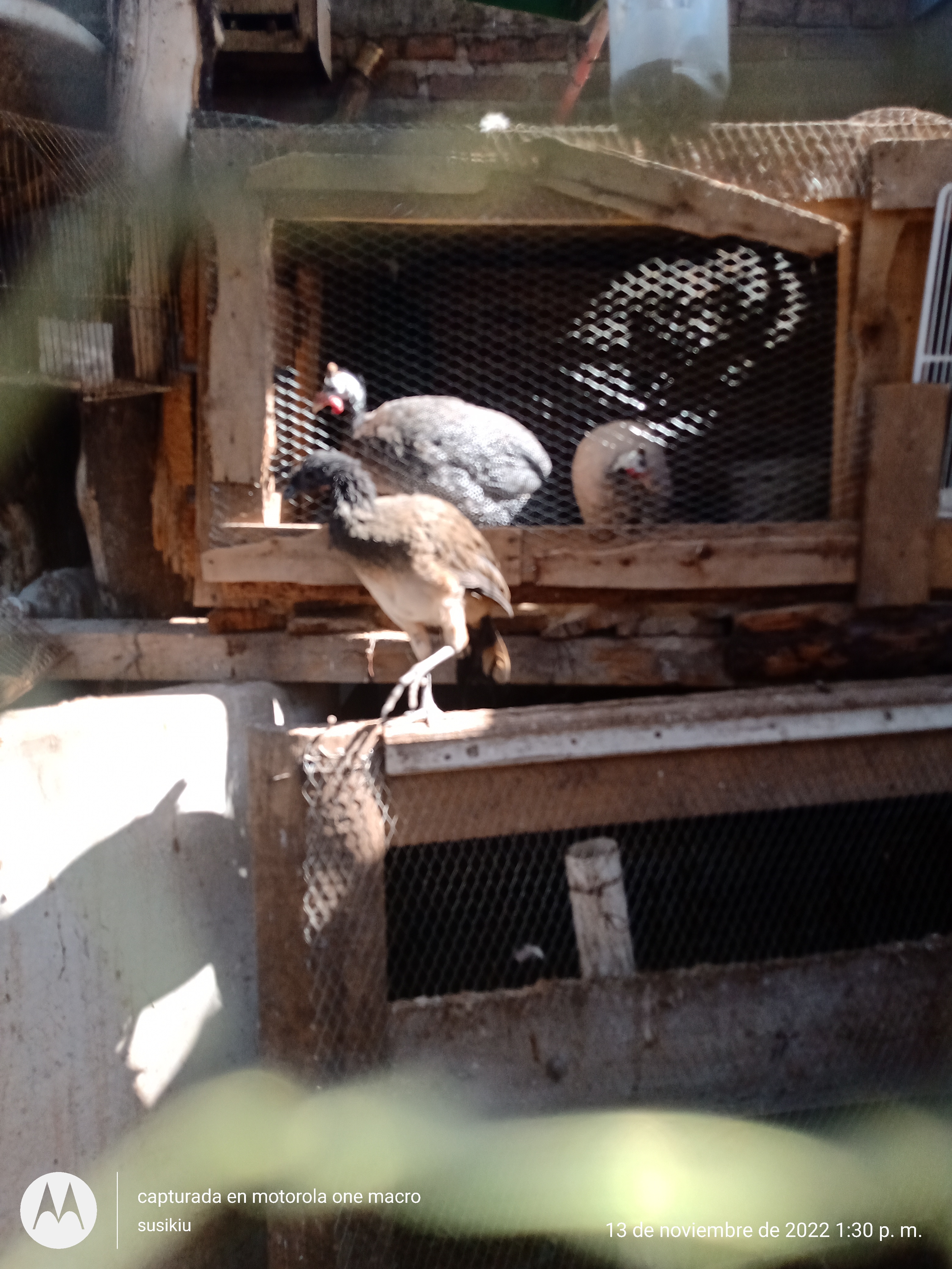 Menuderia Ochoas image 6