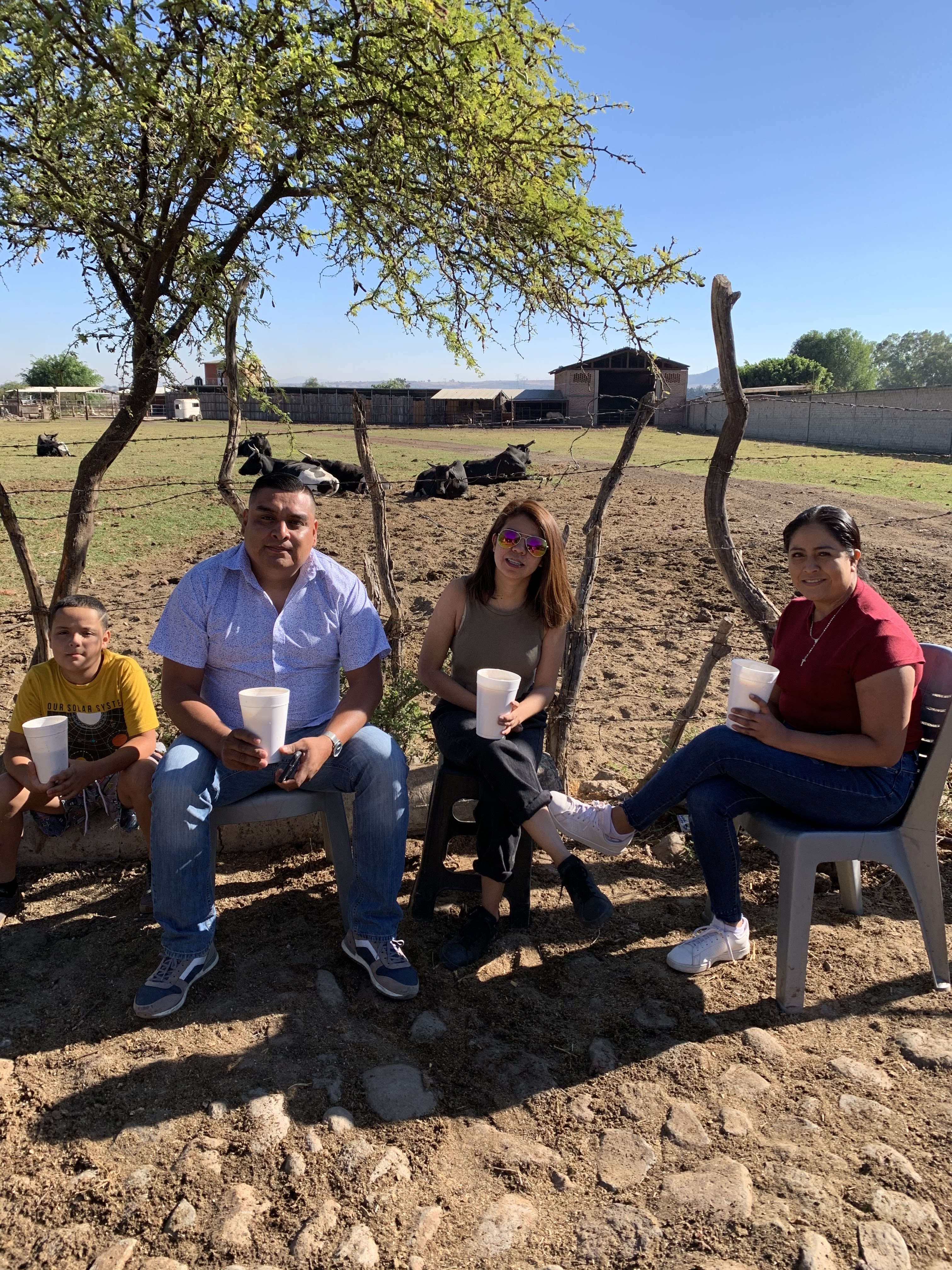 Pajaretes DeLaTorre image 6