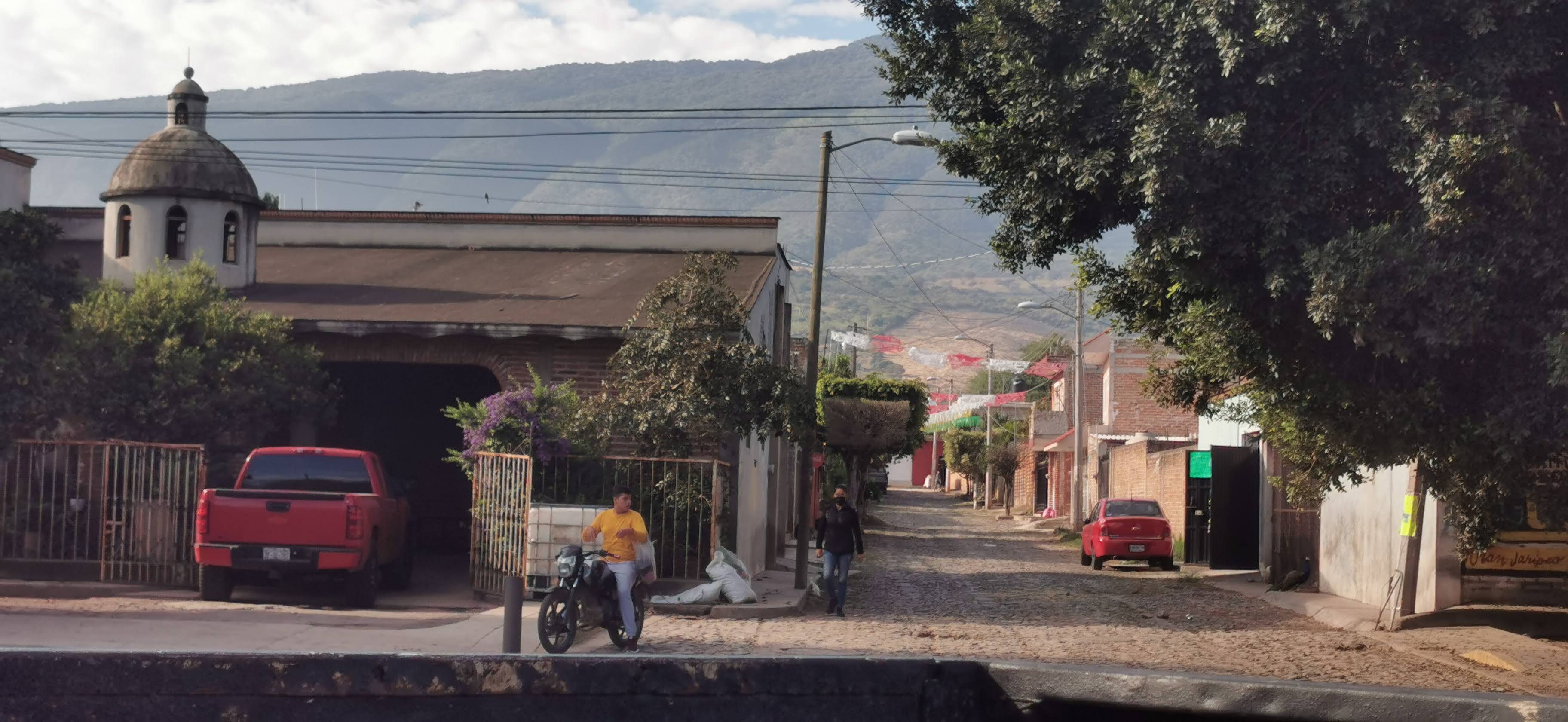 Pajaretes DeLaTorre image 8