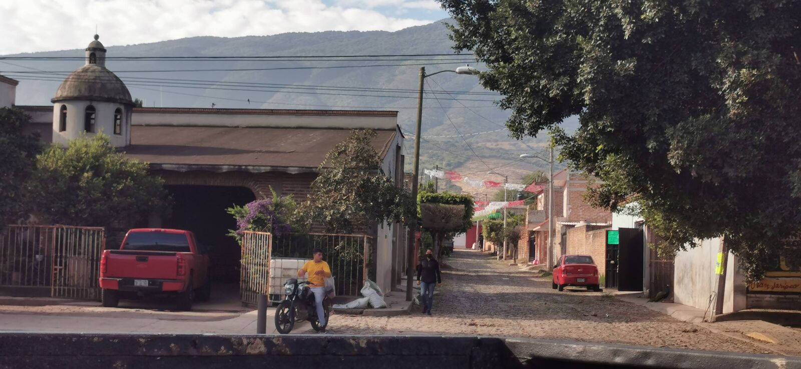 Pajaretes DeLaTorre image 8