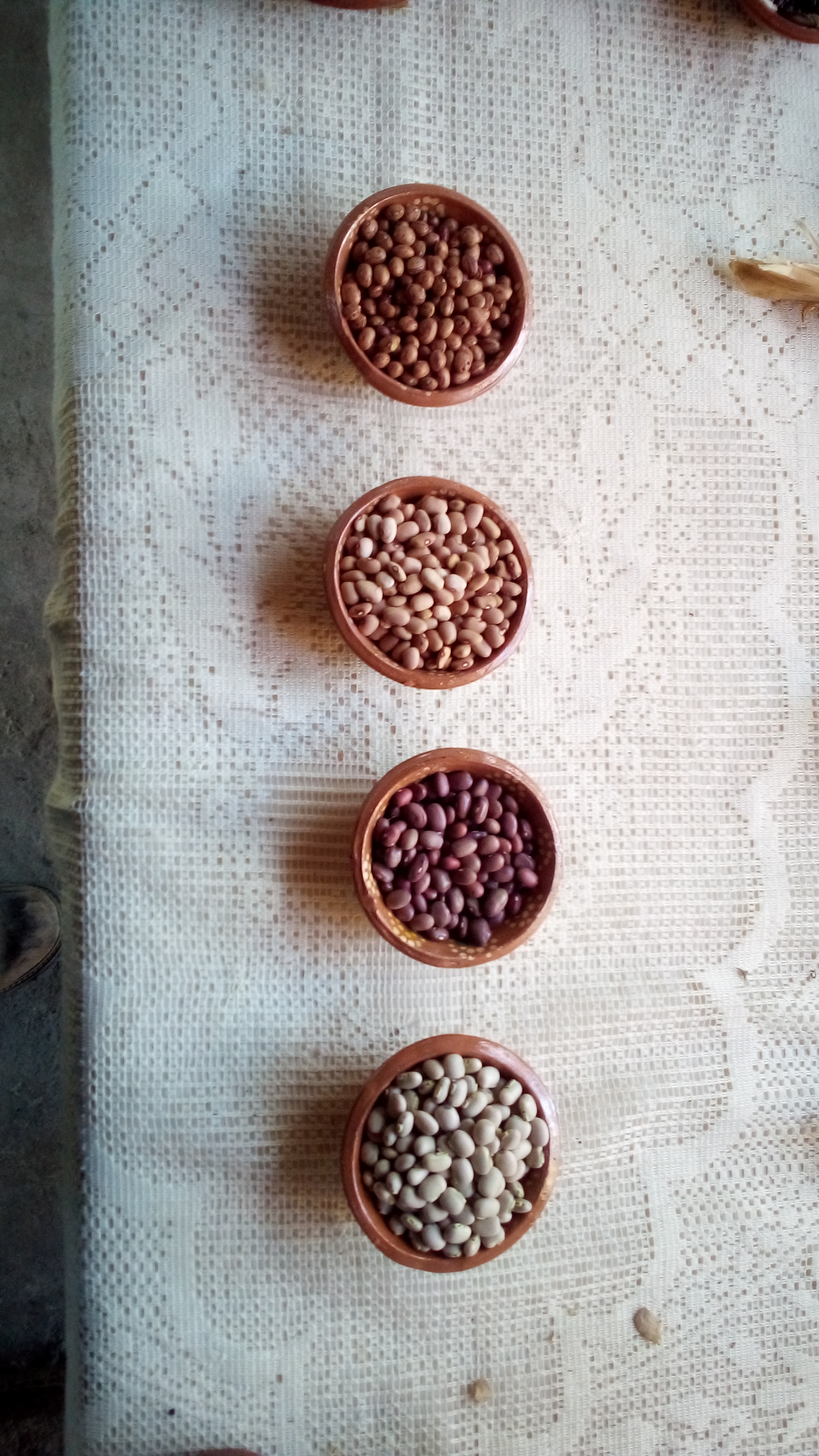 La casa Del Maíz image 2