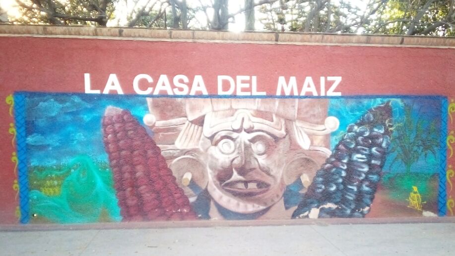 La casa Del Maíz image 3