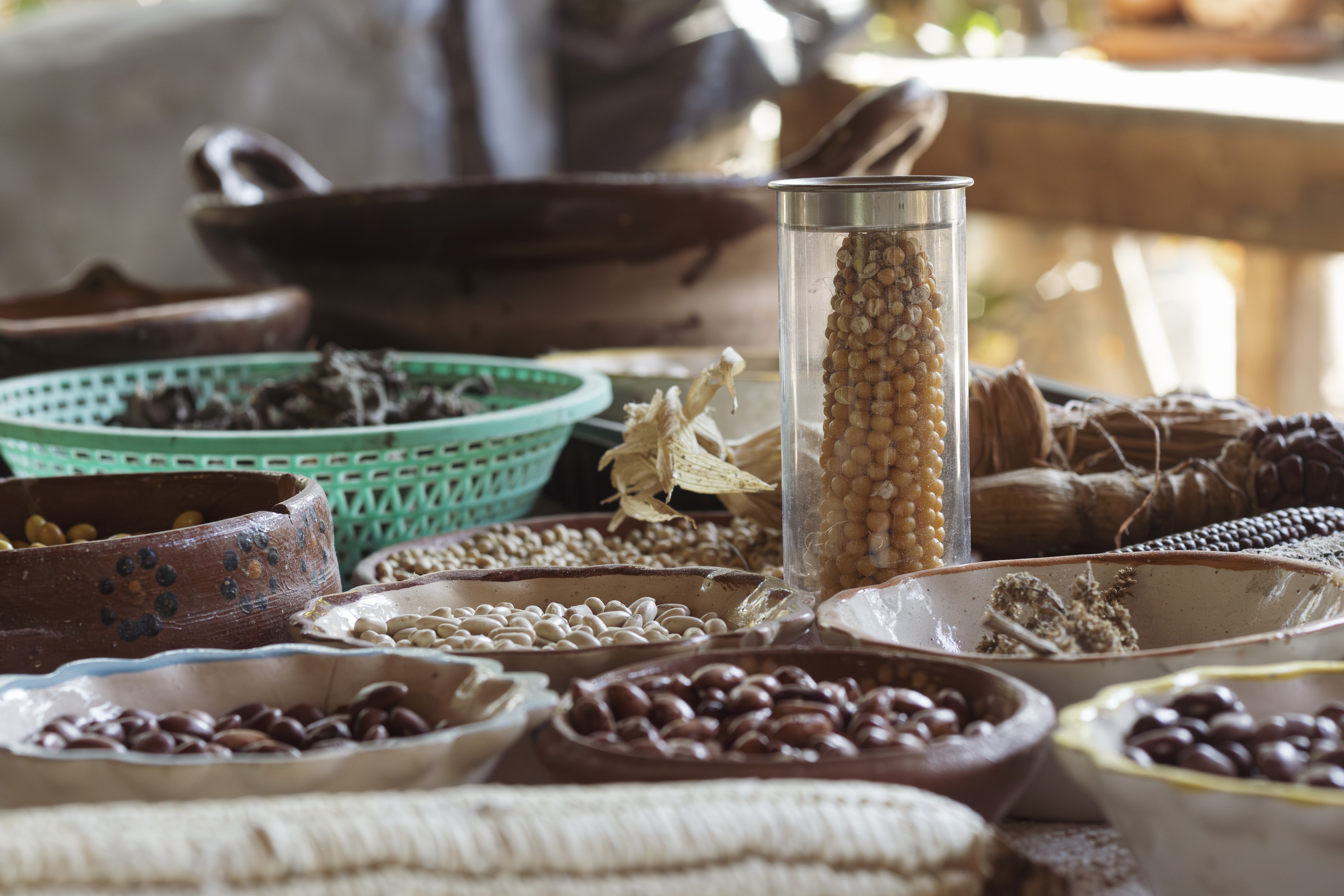 La casa Del Maíz image 7