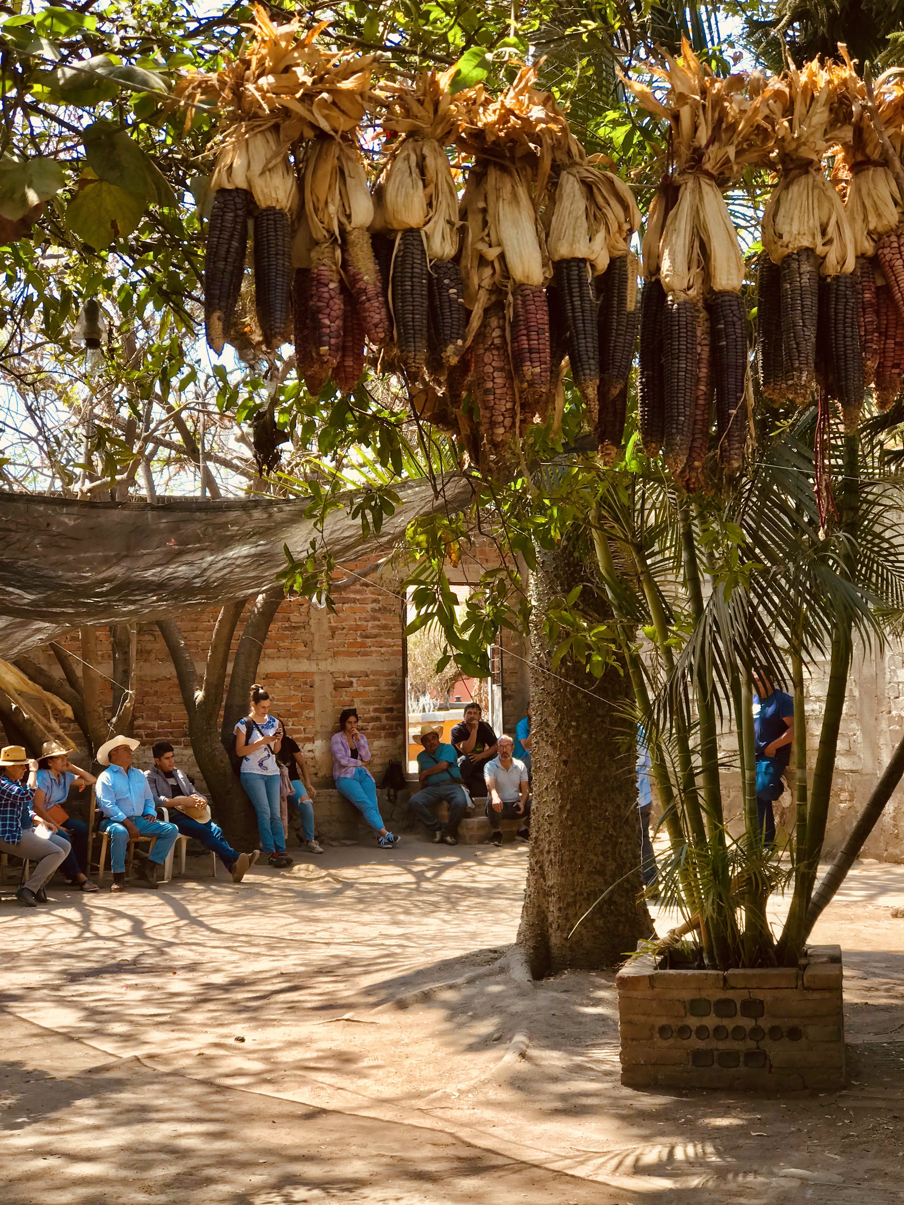 La casa Del Maíz image 9