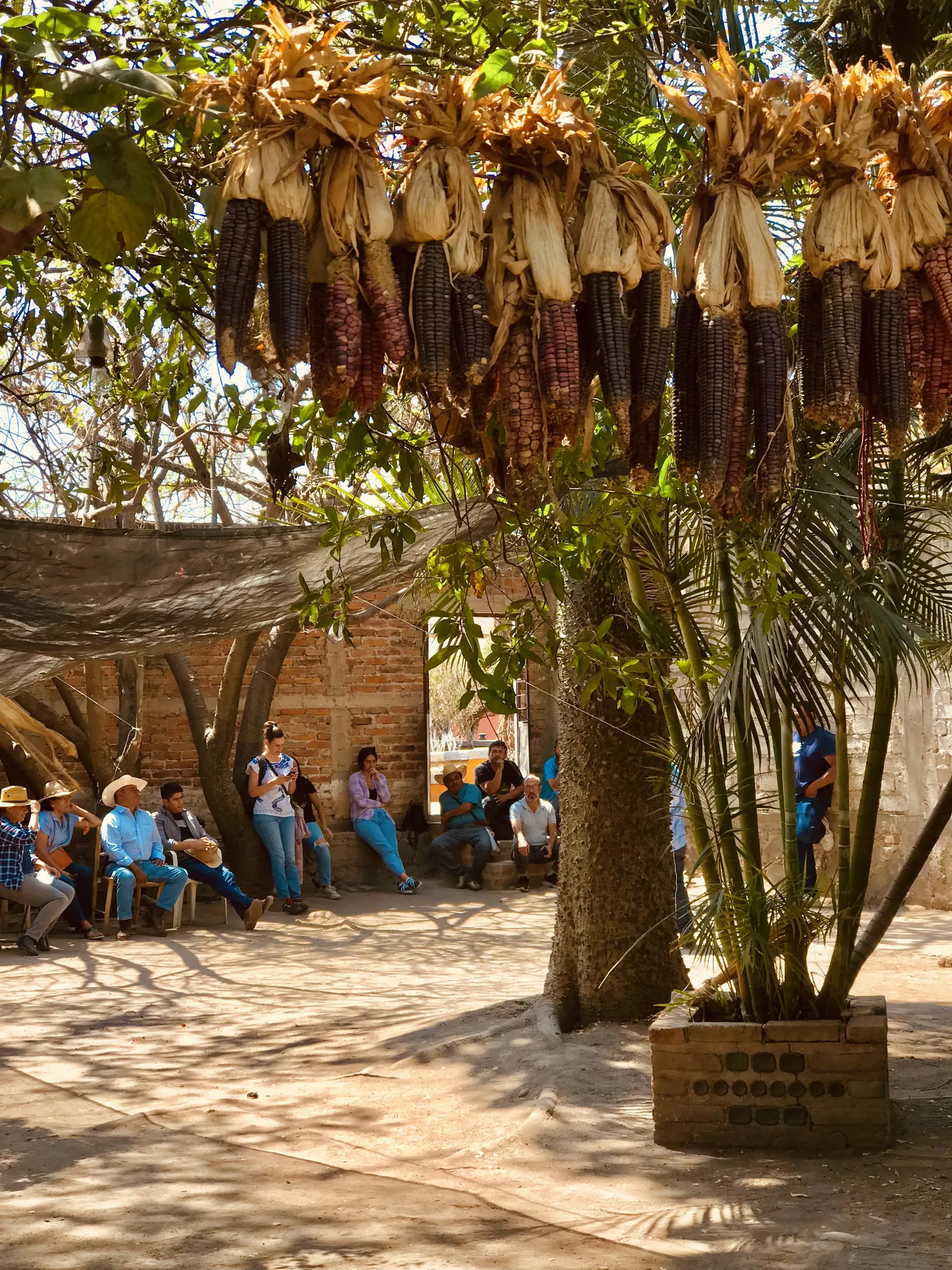 La casa Del Maíz image 9