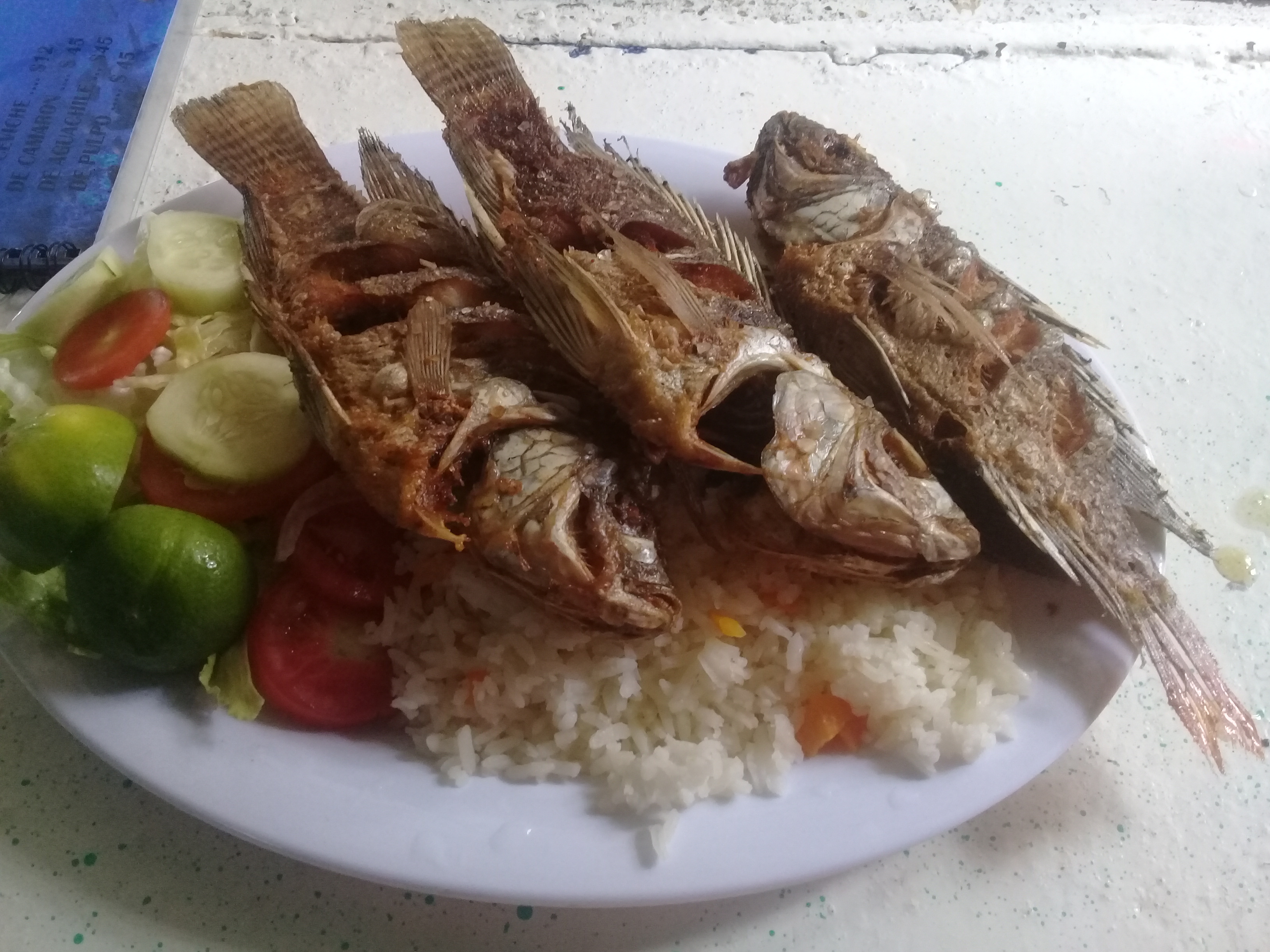 "La Orilla Del Mono" image 7