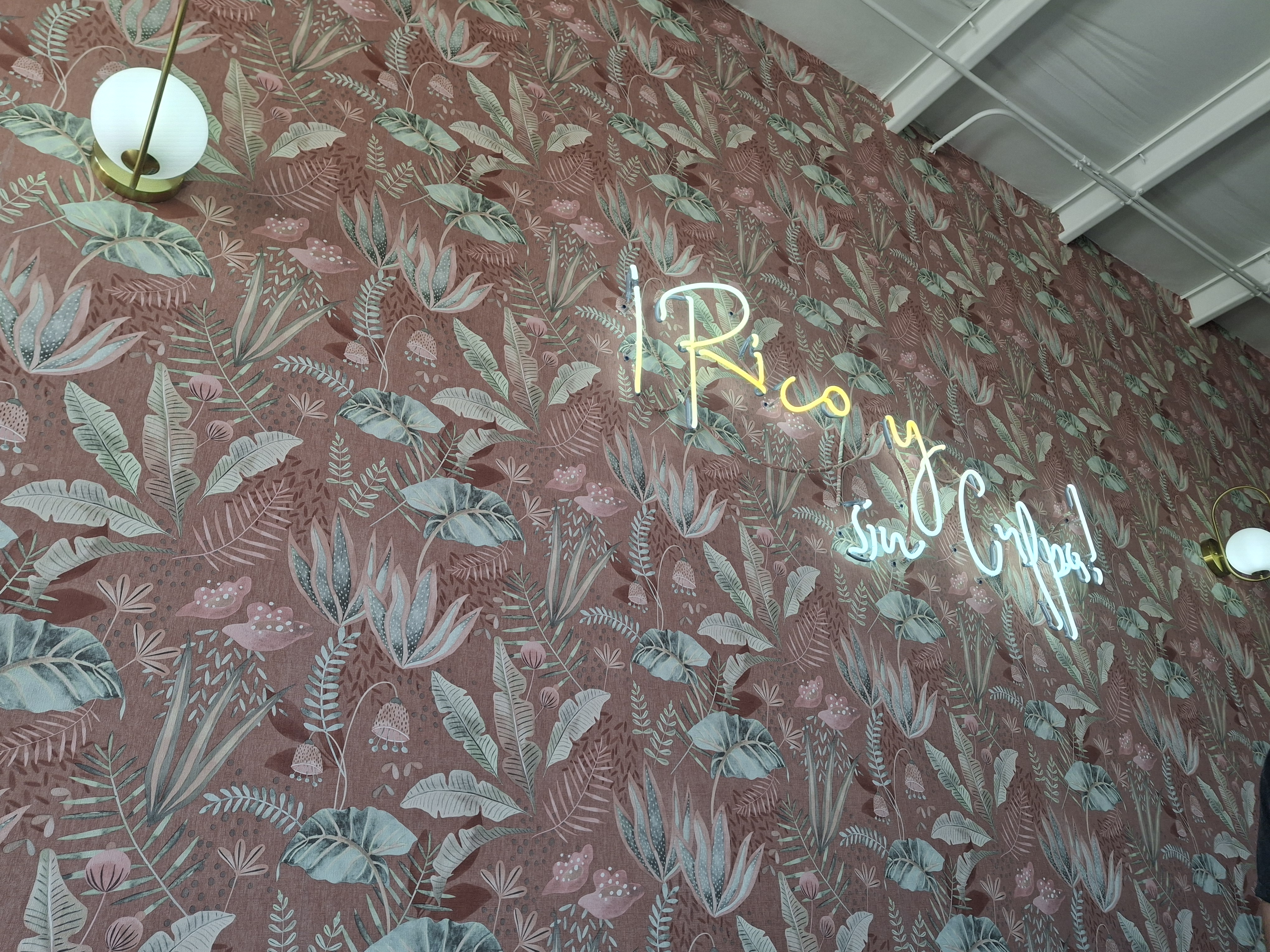 Elisa's Plate La Barra image 5