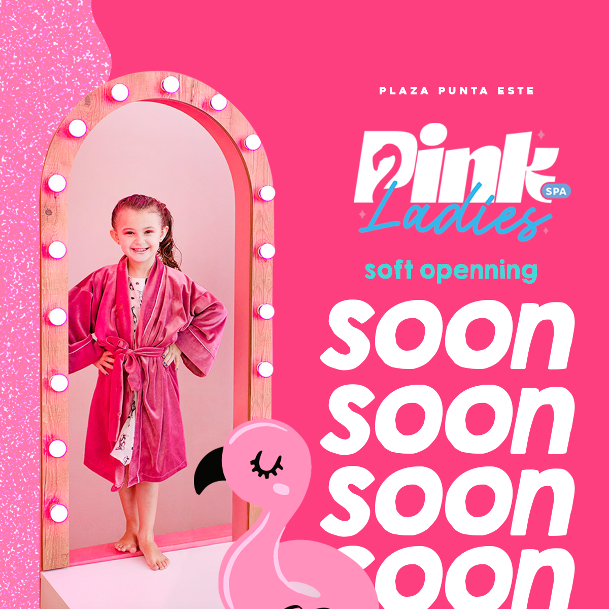 Pink Ladies SPA - Restaurante image 8