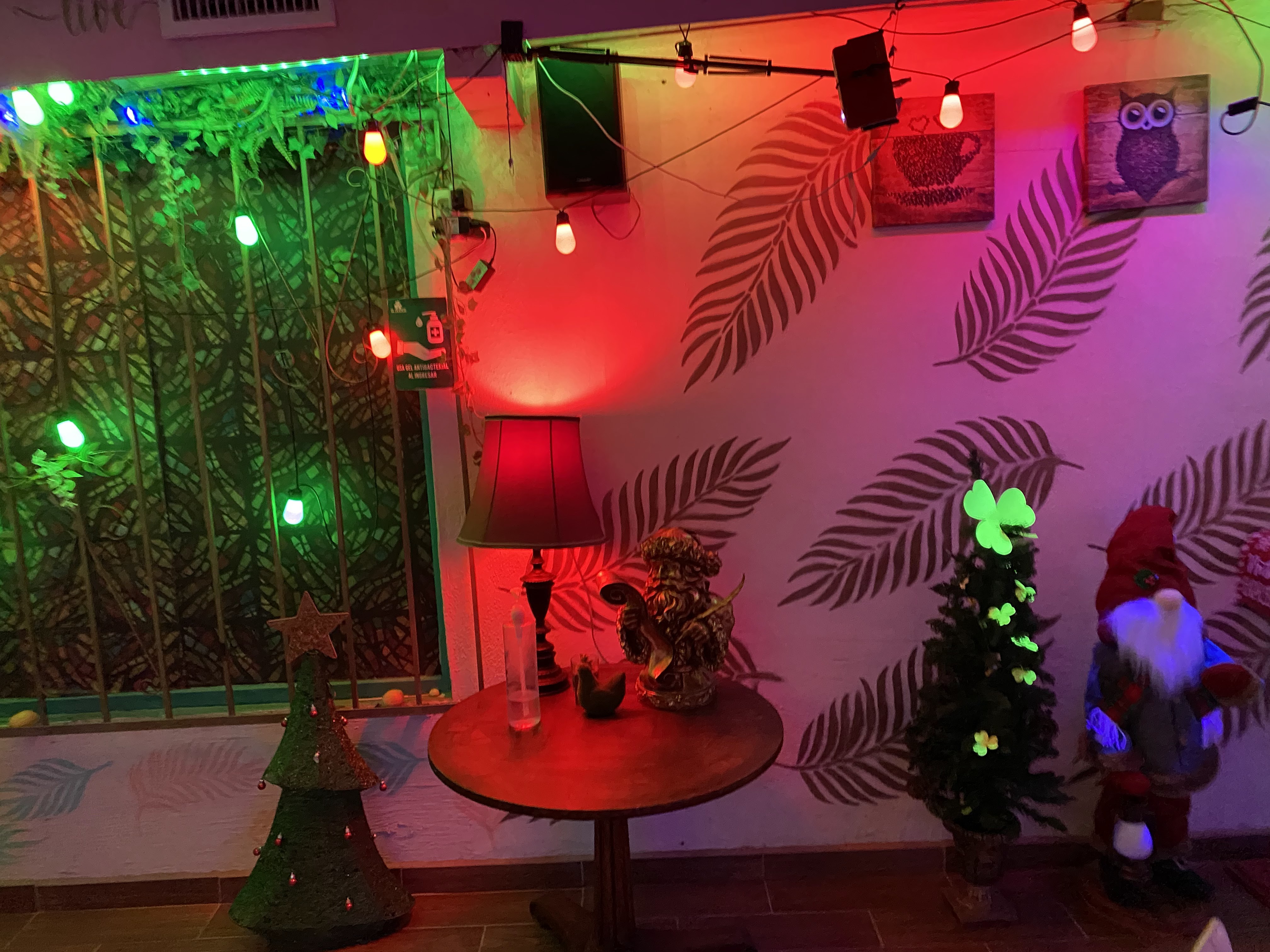 EL DUENDE ️ Café & Comida Mexicana image 5