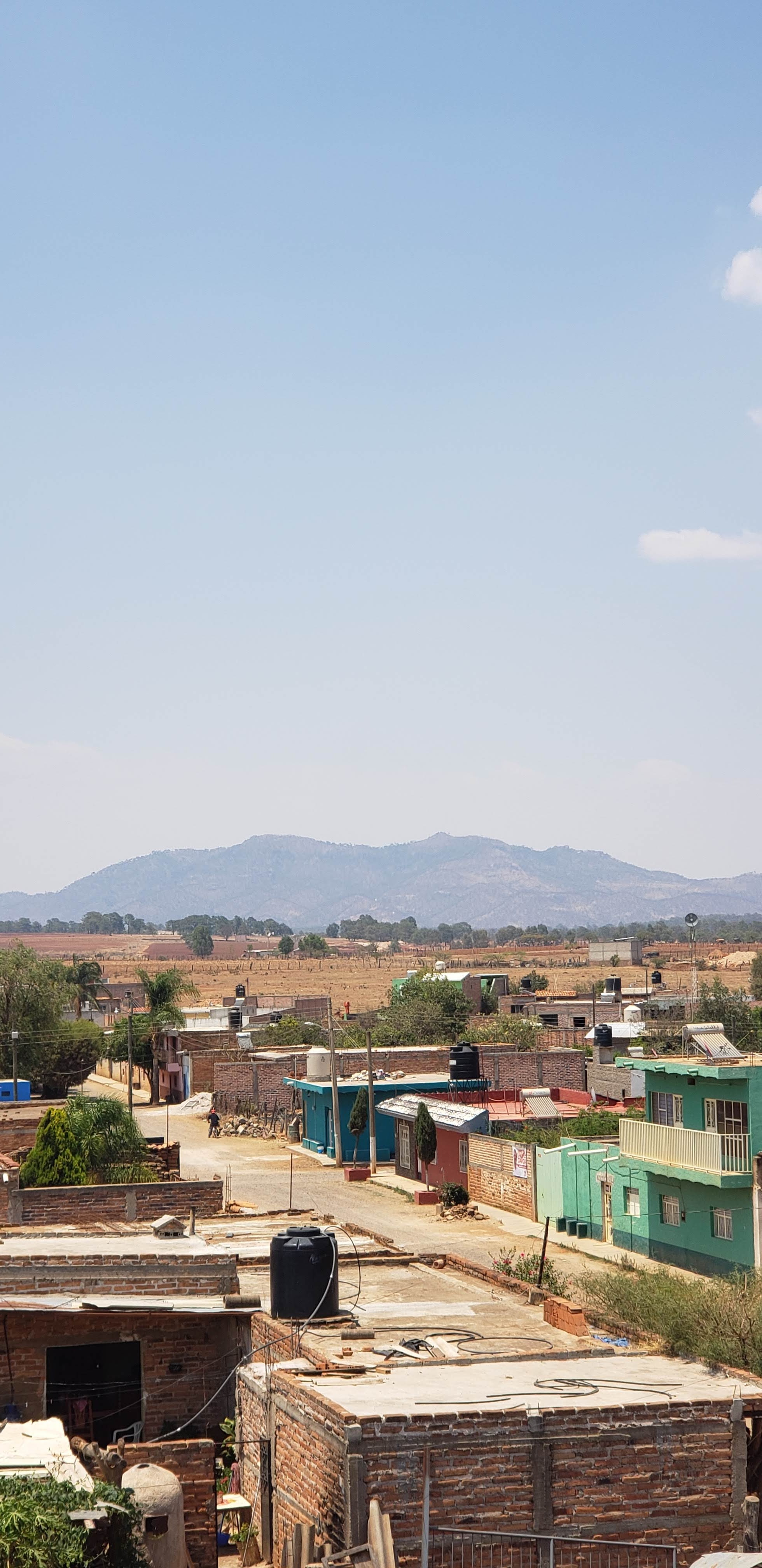 Restaurants Nora image 6